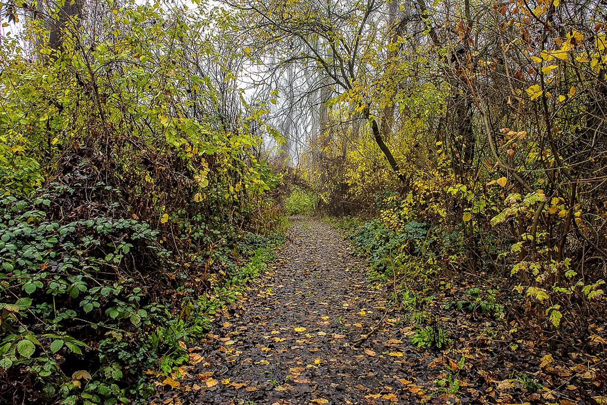 Image of California State Park