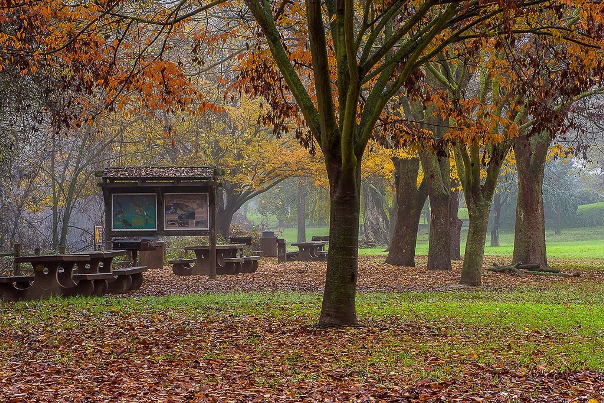 Image of California State Park