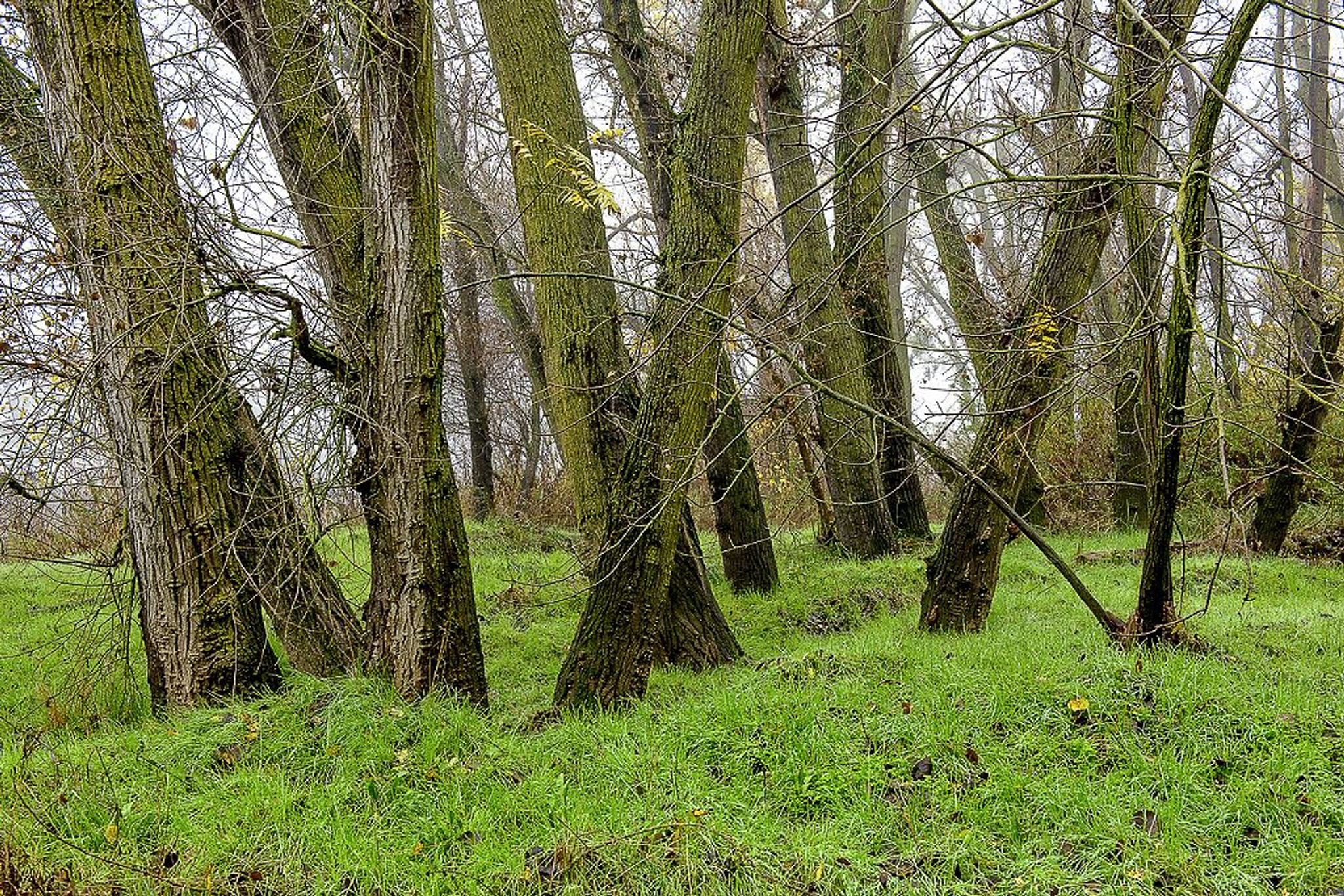 Image of California State Park