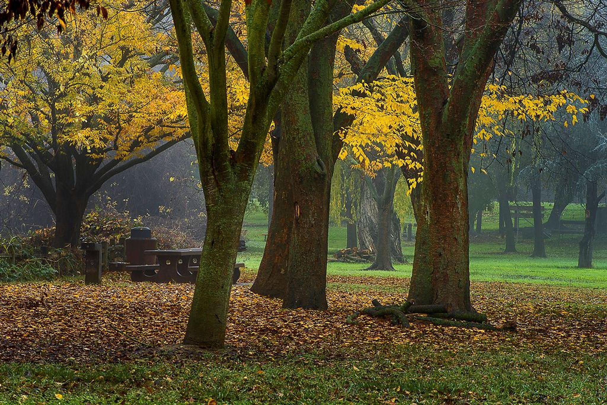 Image of California State Park