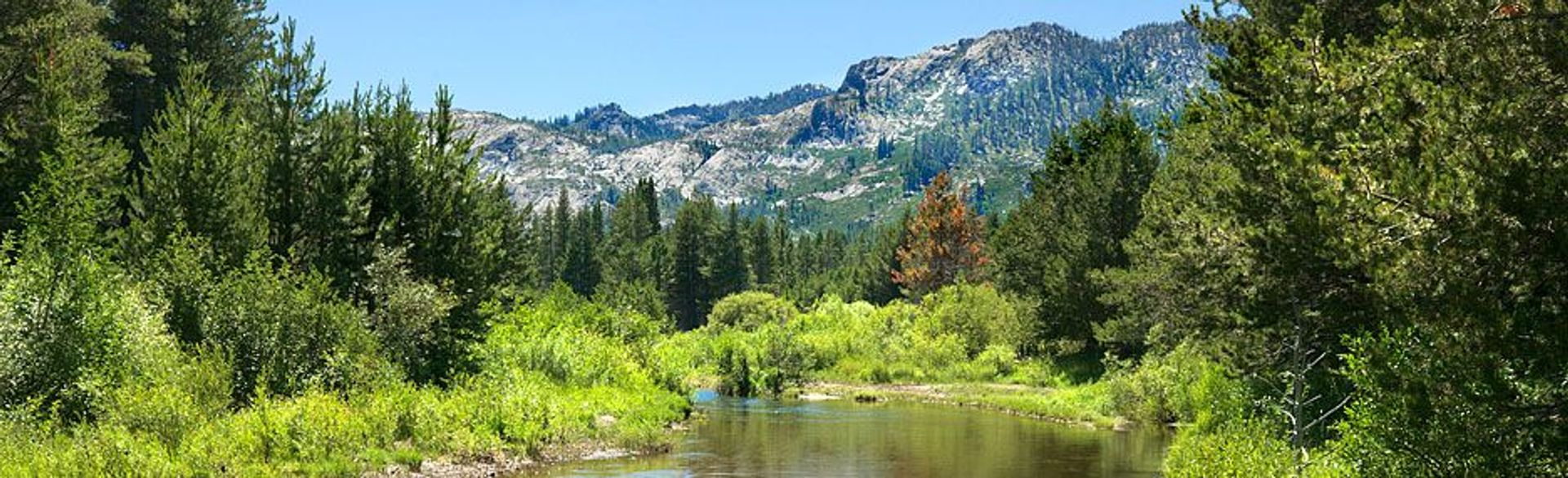 Image of California State Park