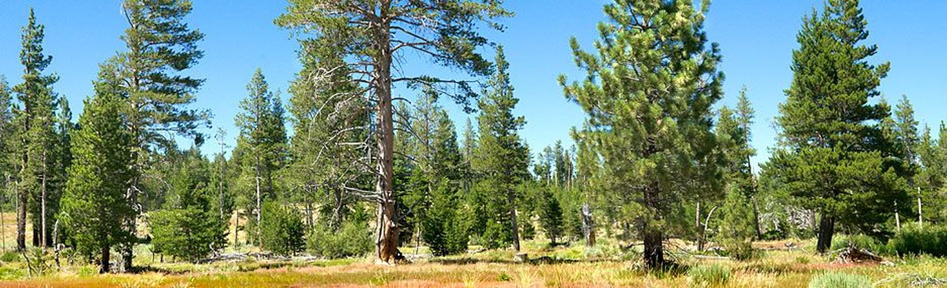 Image of California State Park