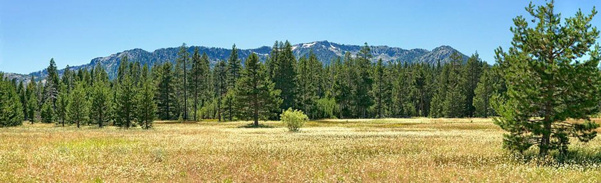 Image of California State Park