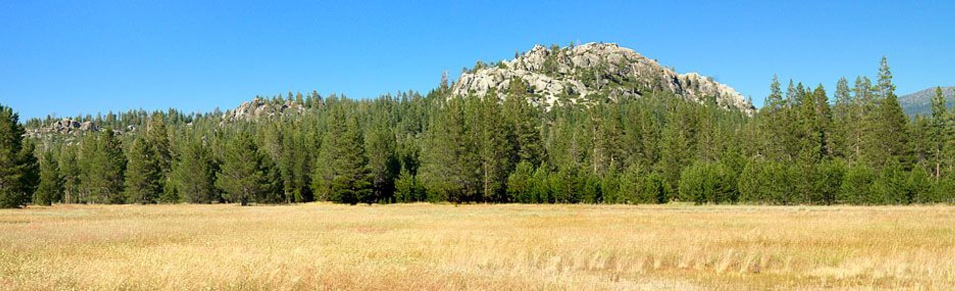 Image of California State Park