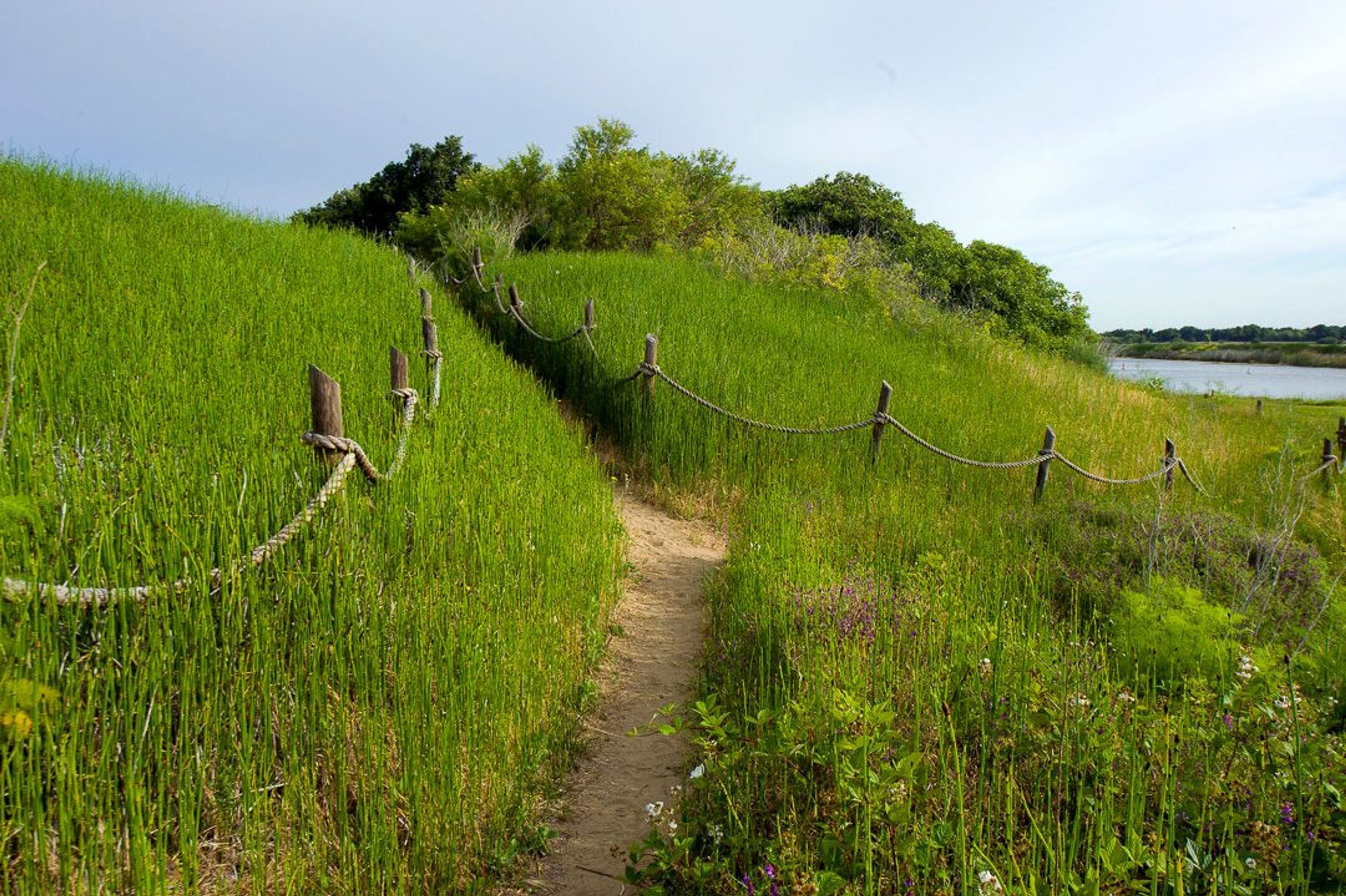 Image of California State Park