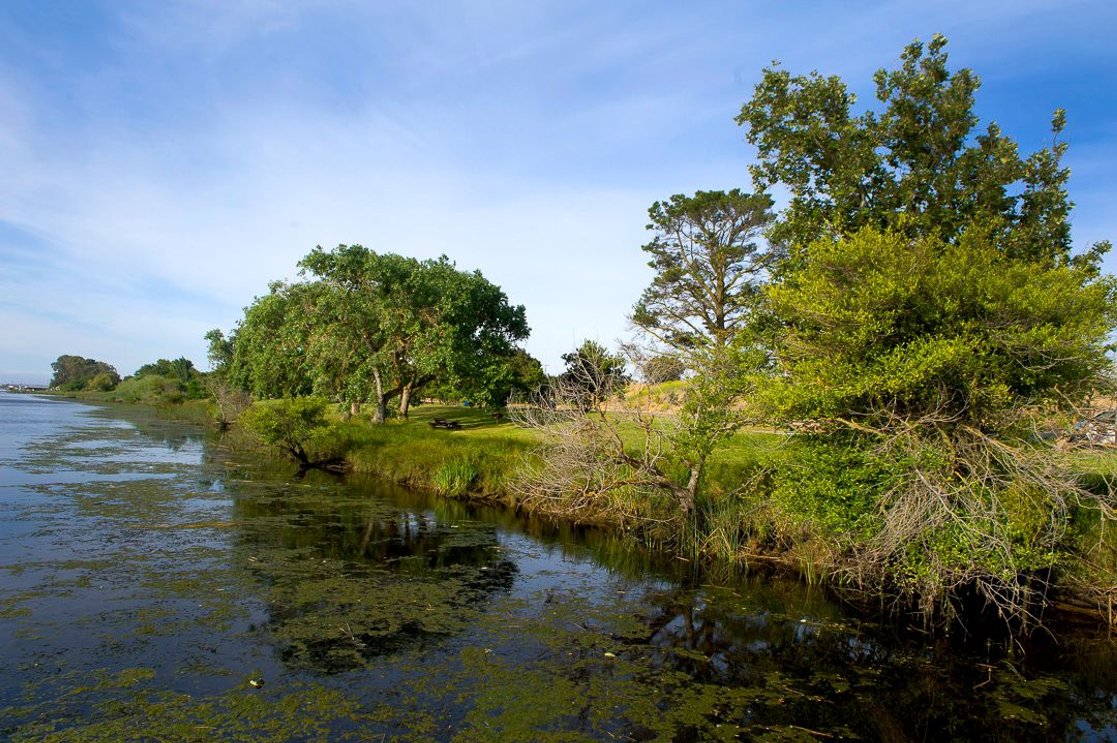 Image of California State Park