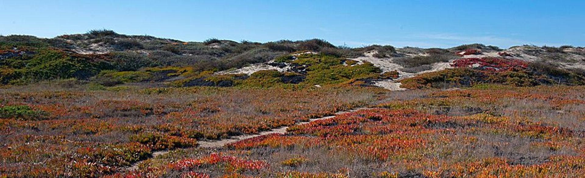 Image of California State Park