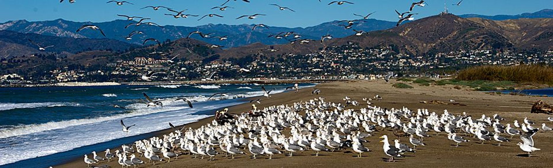 Image of California State Park