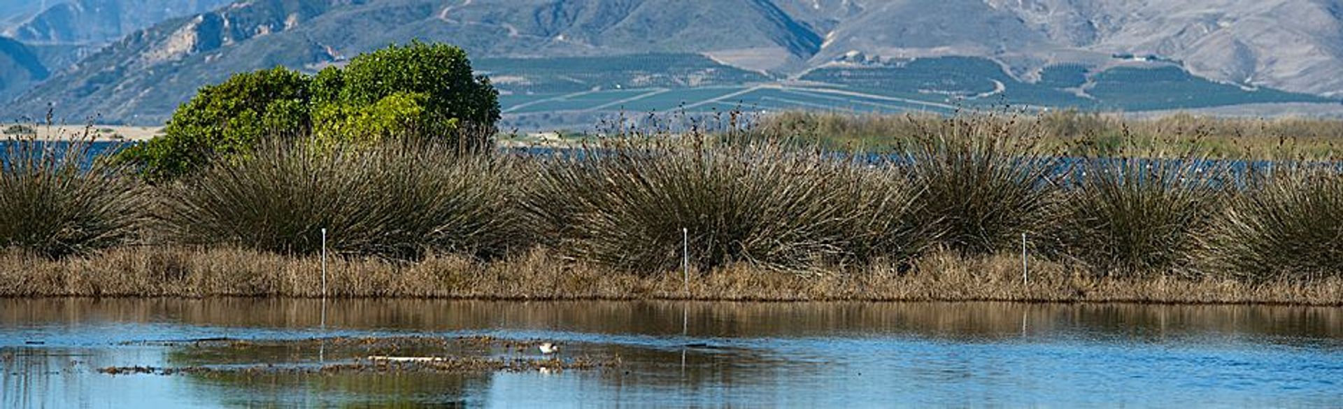 Image of California State Park