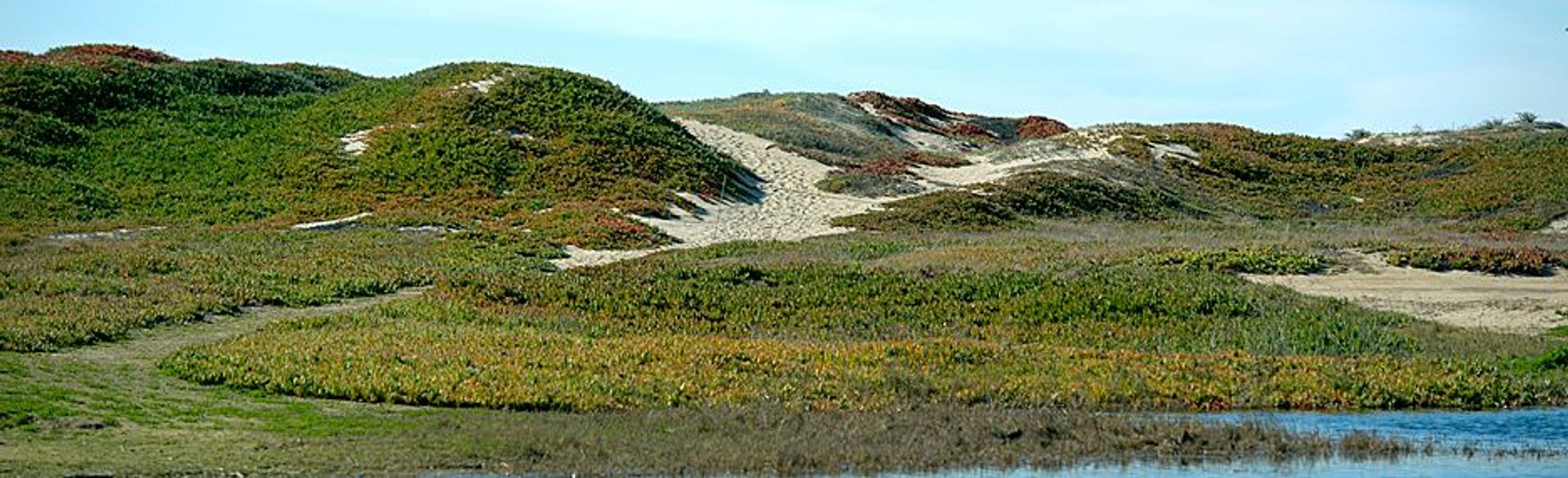 Image of California State Park