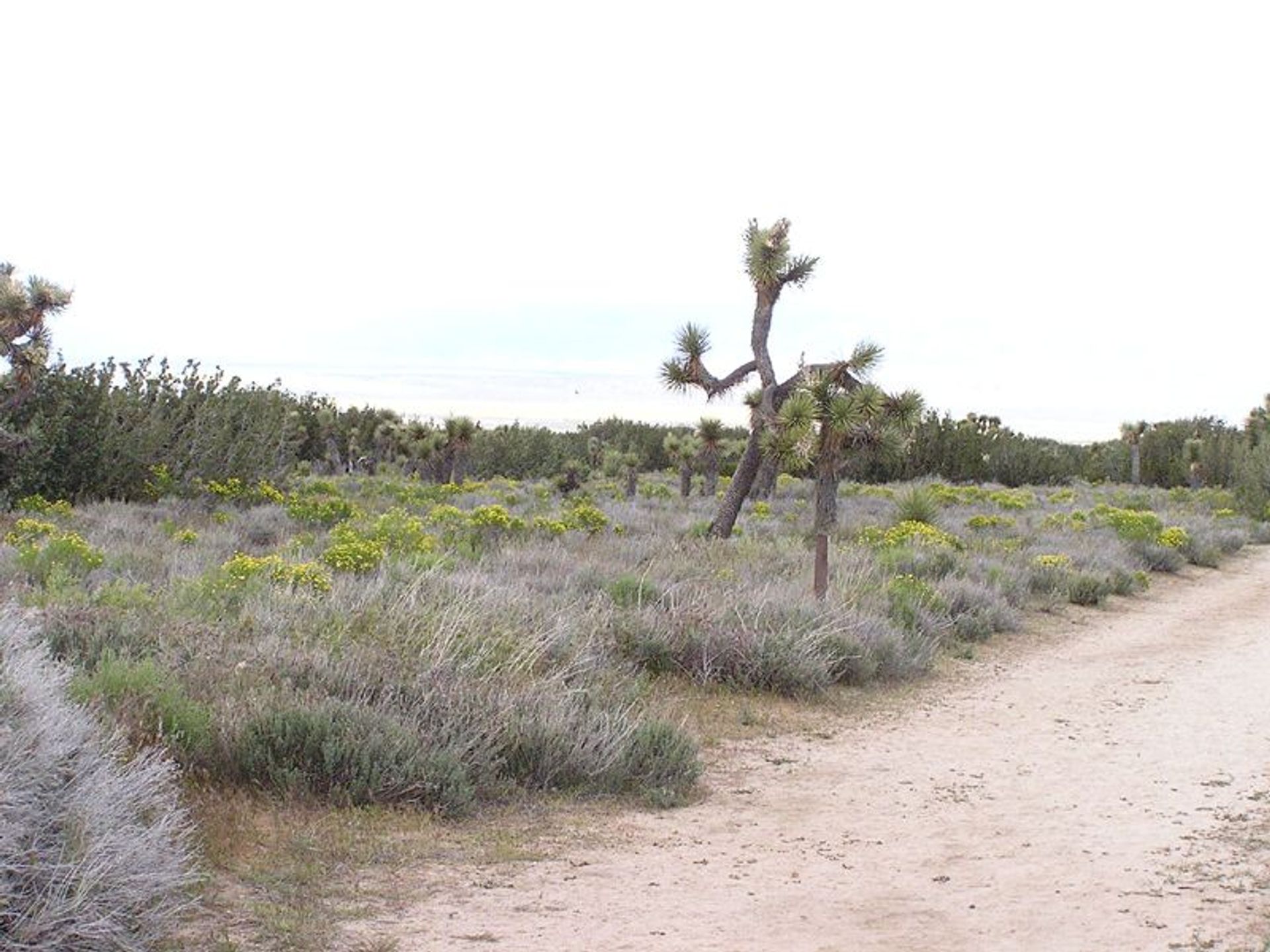 Image of California State Park