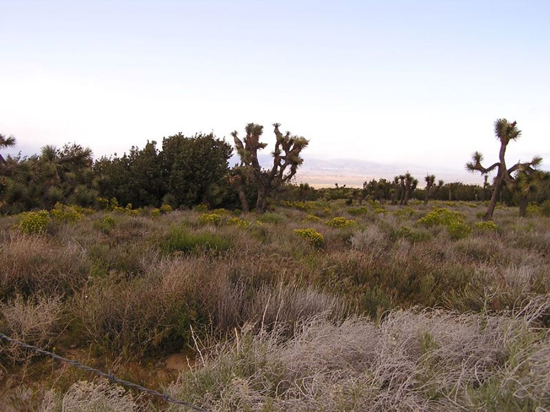 Image of California State Park