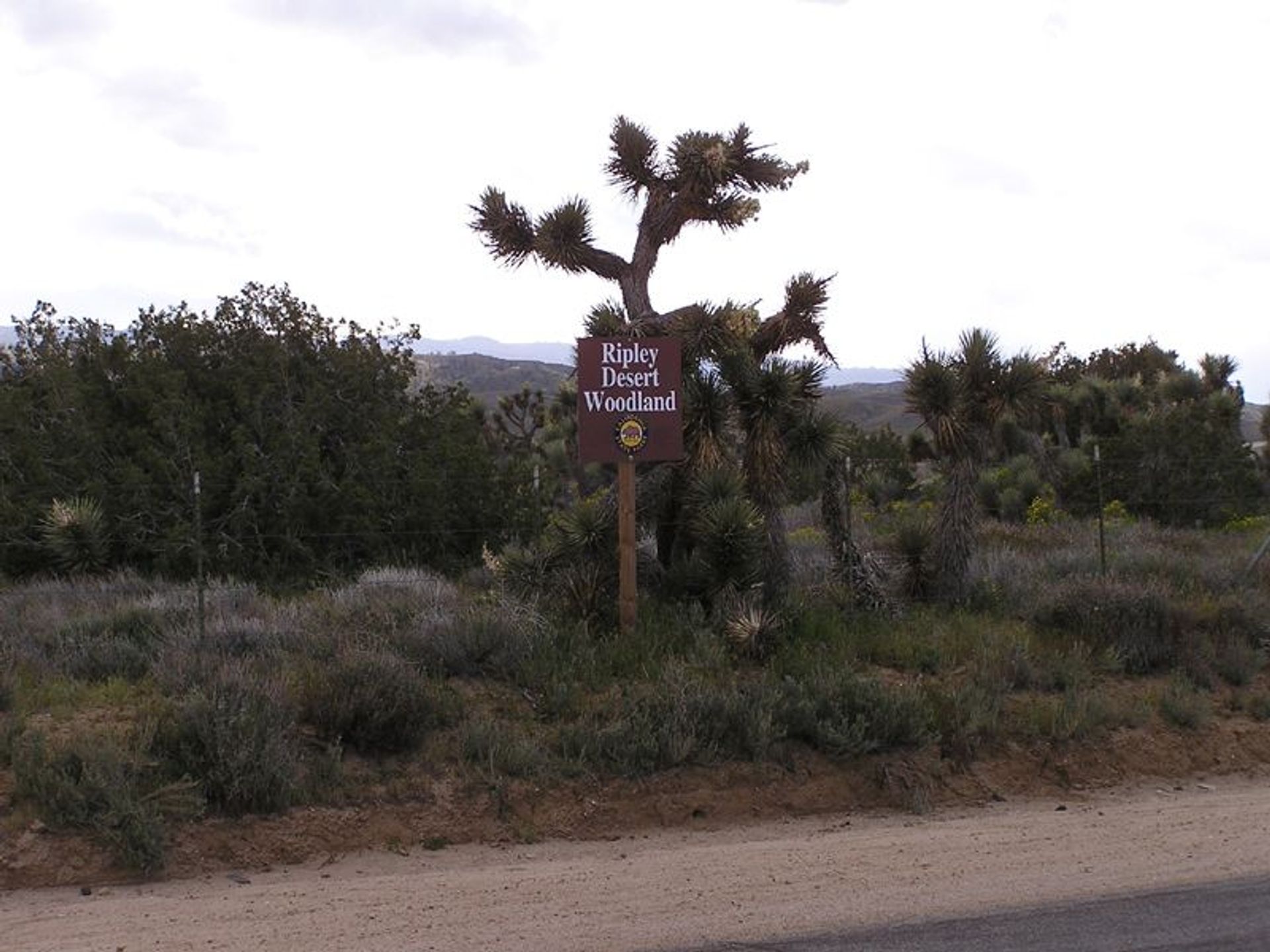 Image of California State Park