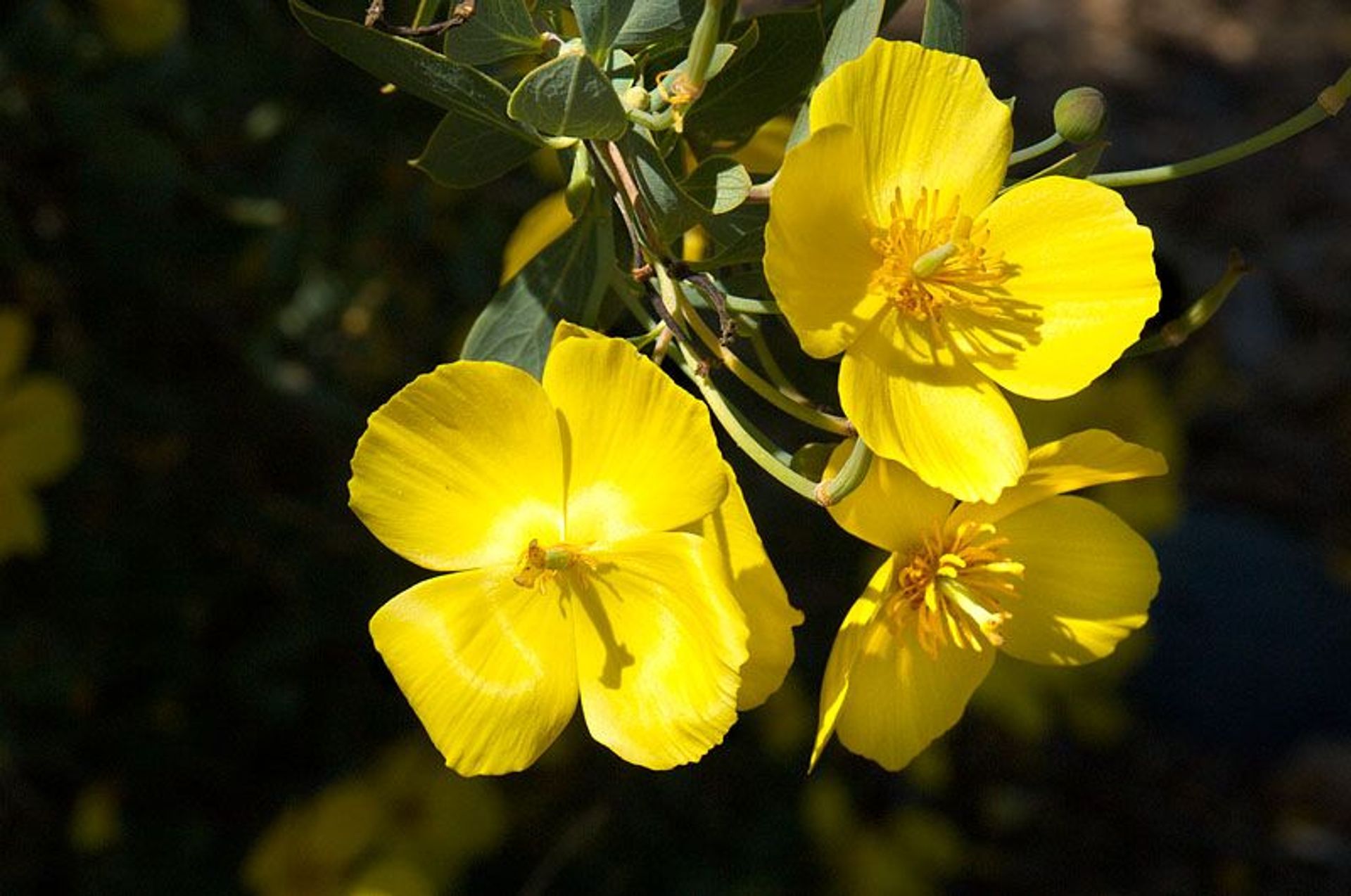 Image of California State Park