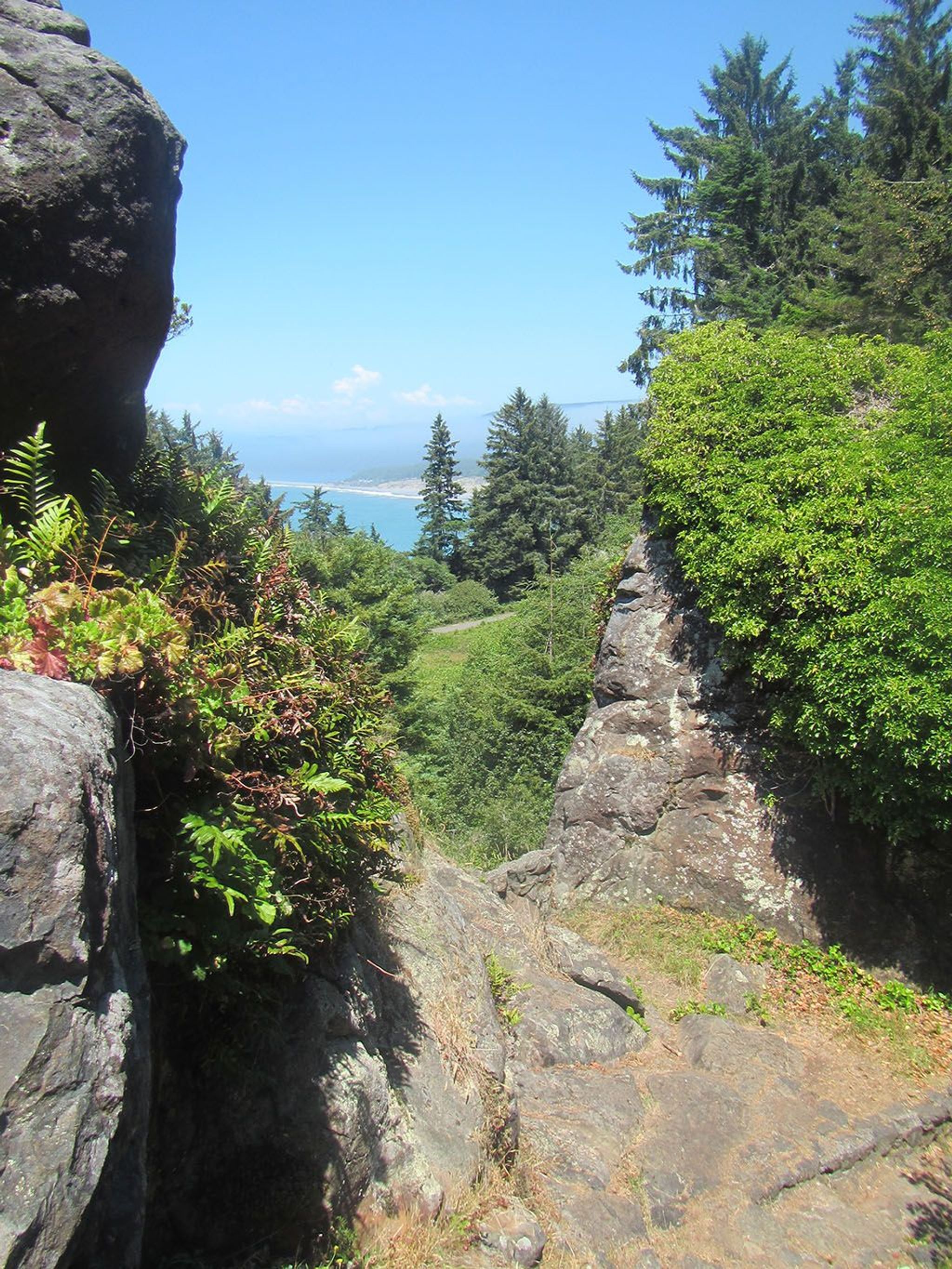 Image of California State Park