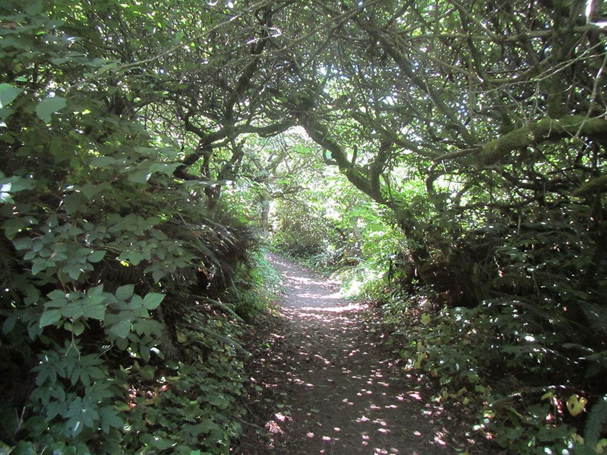 Image of California State Park