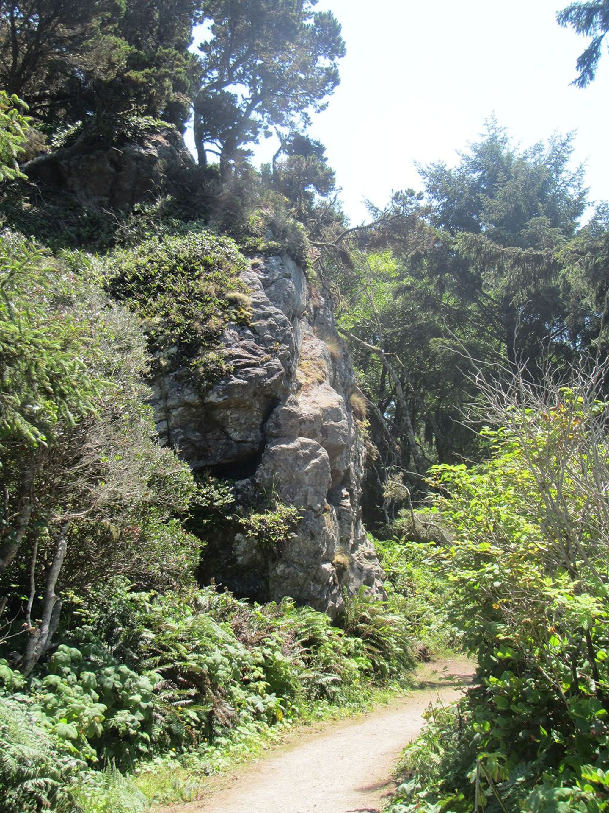 Image of California State Park