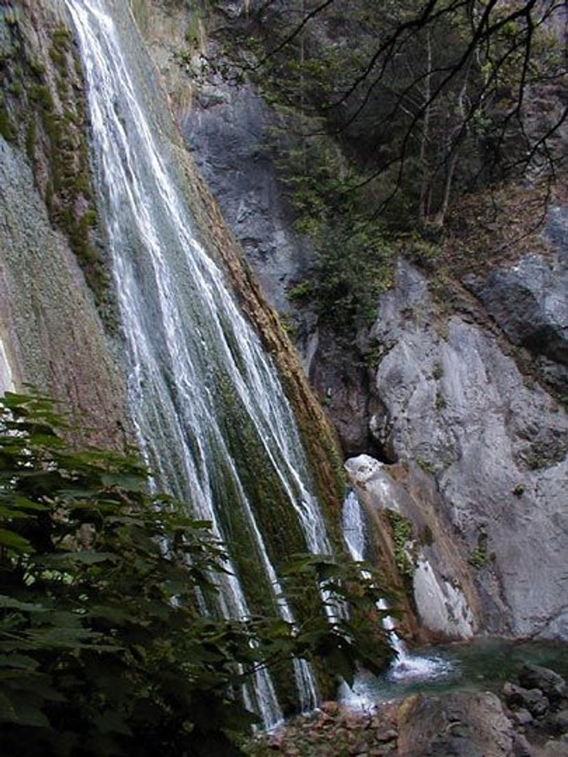 Image of California State Park