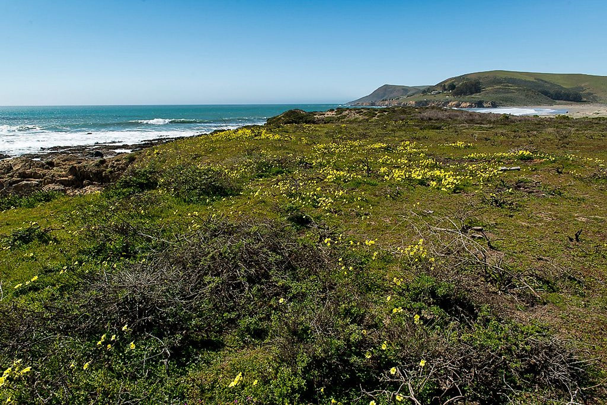 Image of California State Park