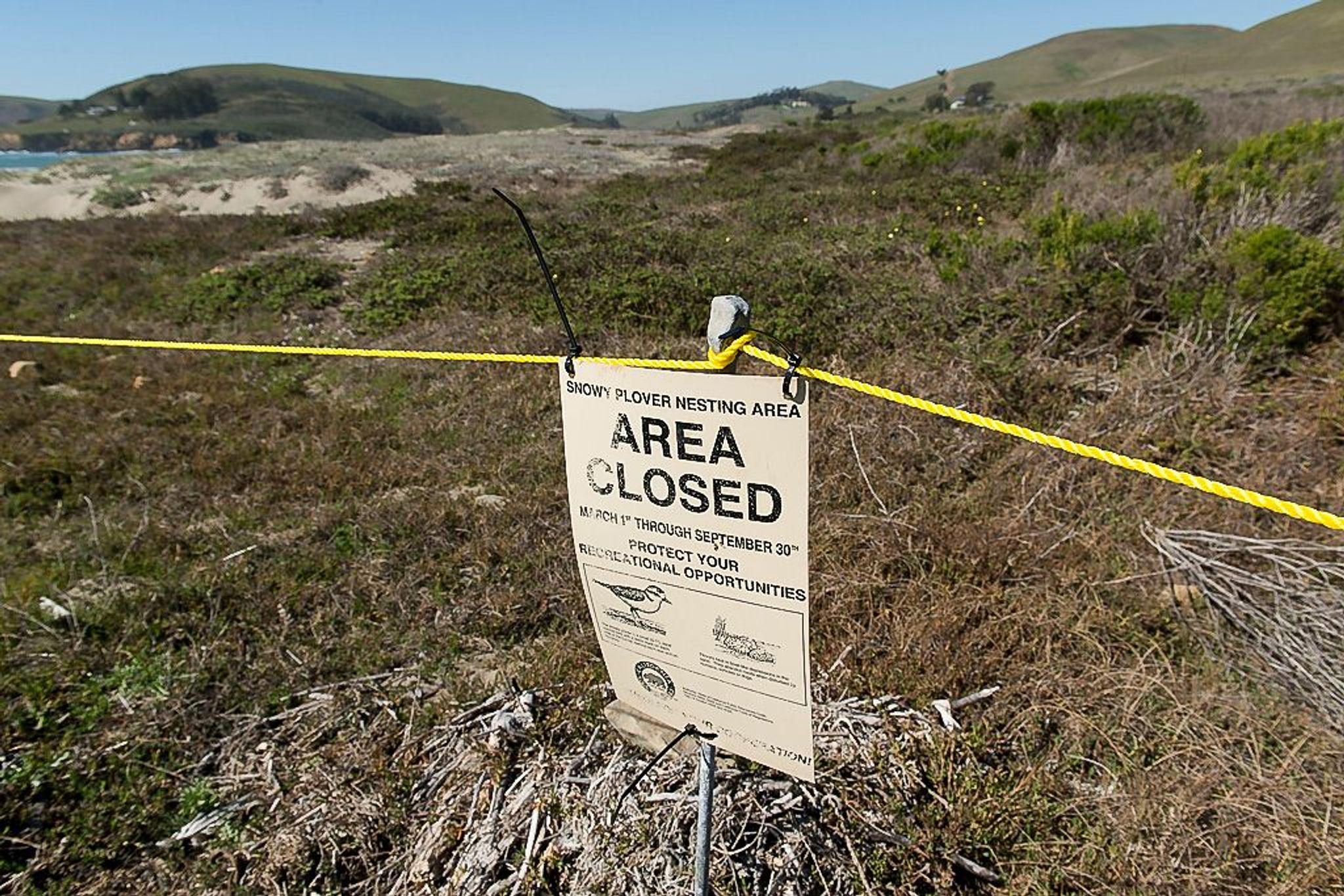 Image of California State Park