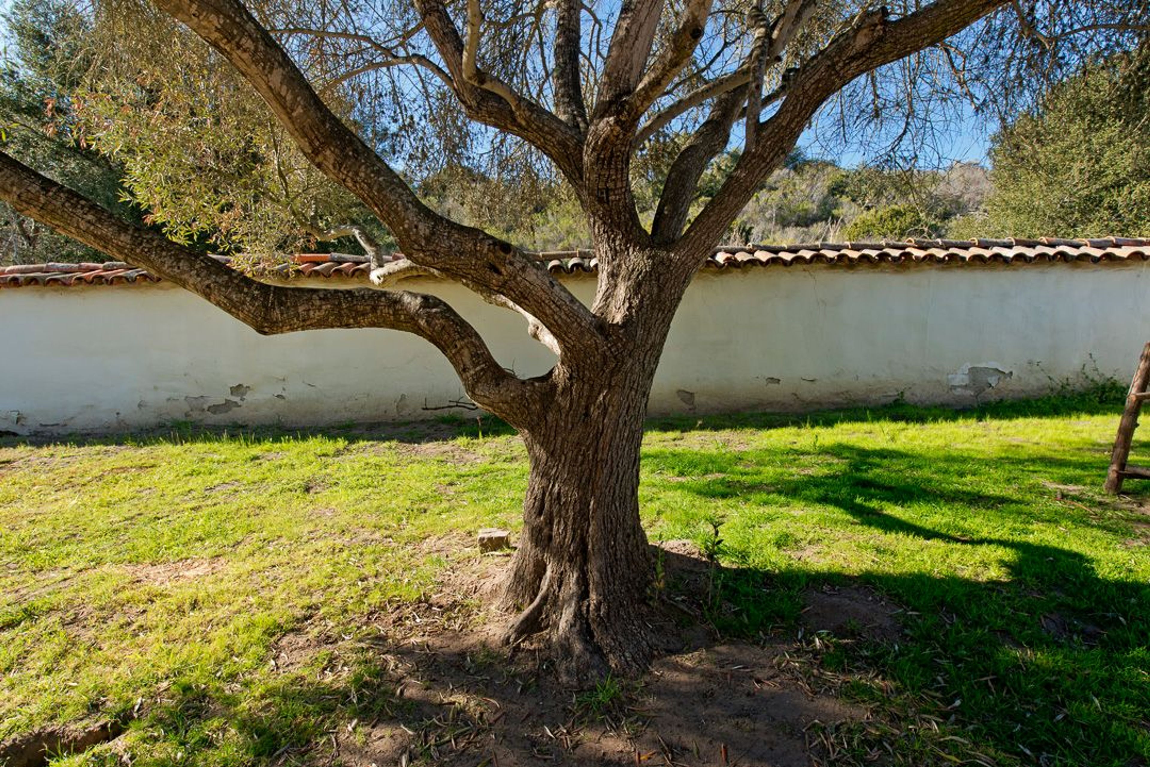 Image of California State Park