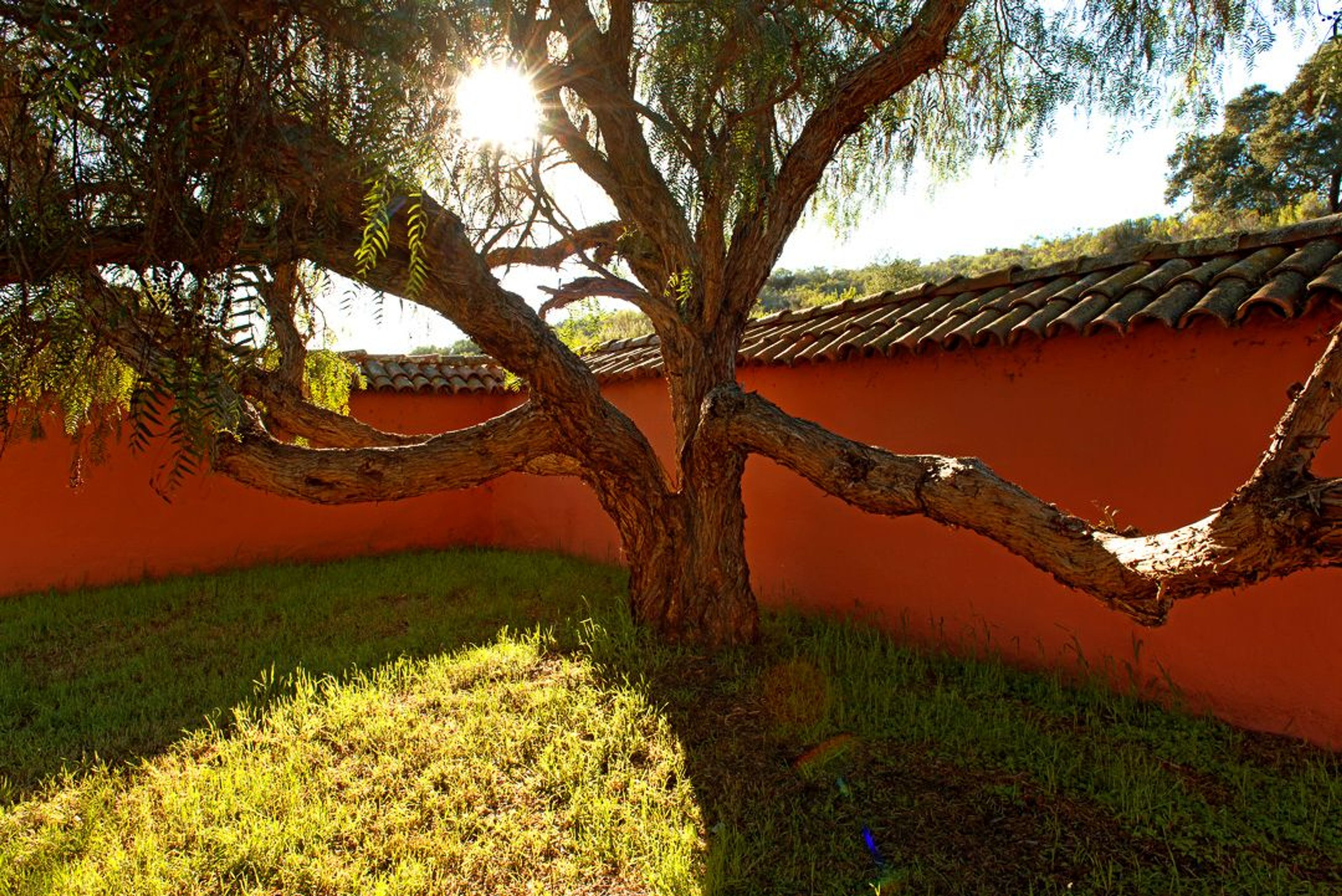 Image of California State Park