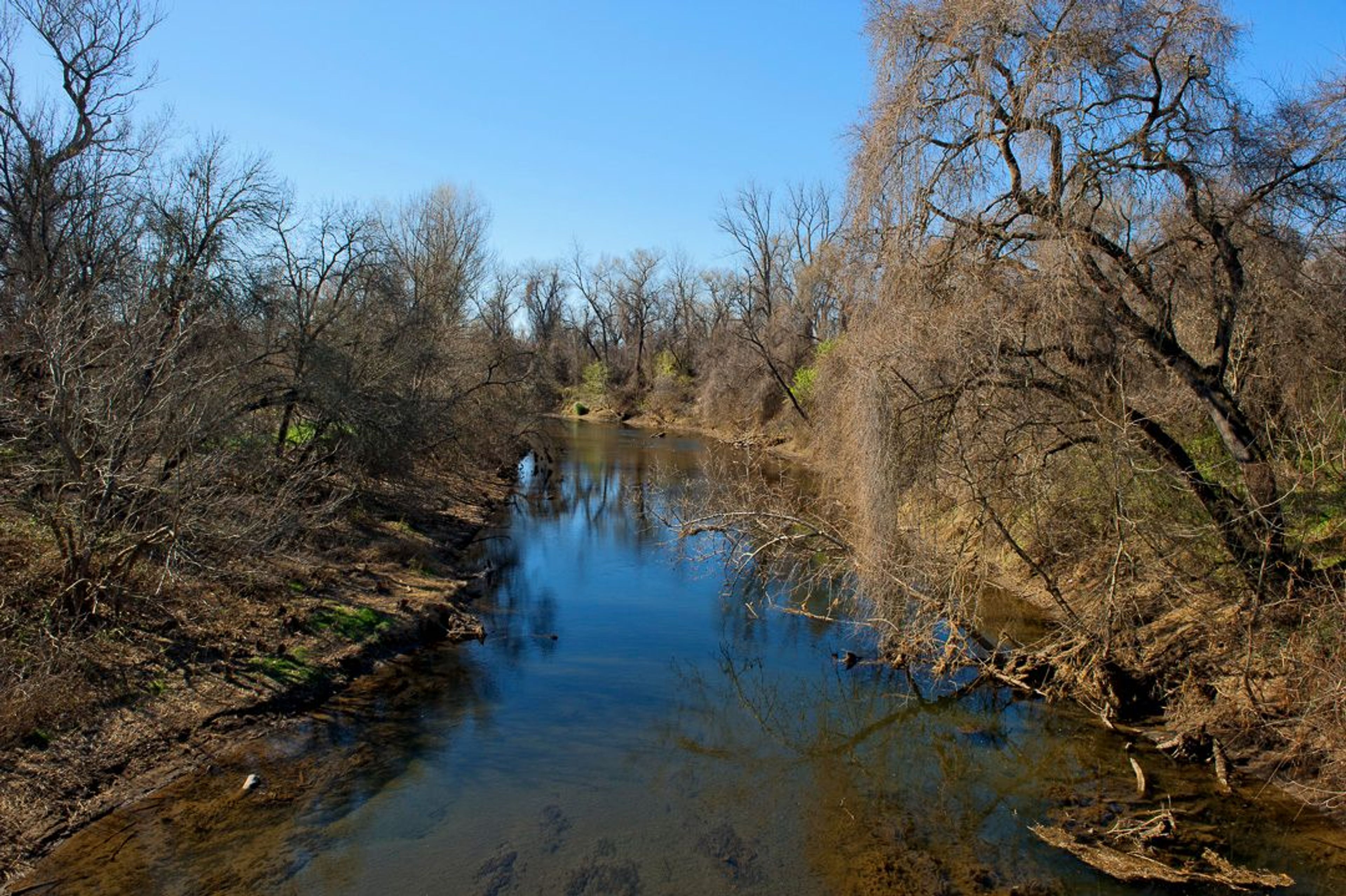 Image of California State Park