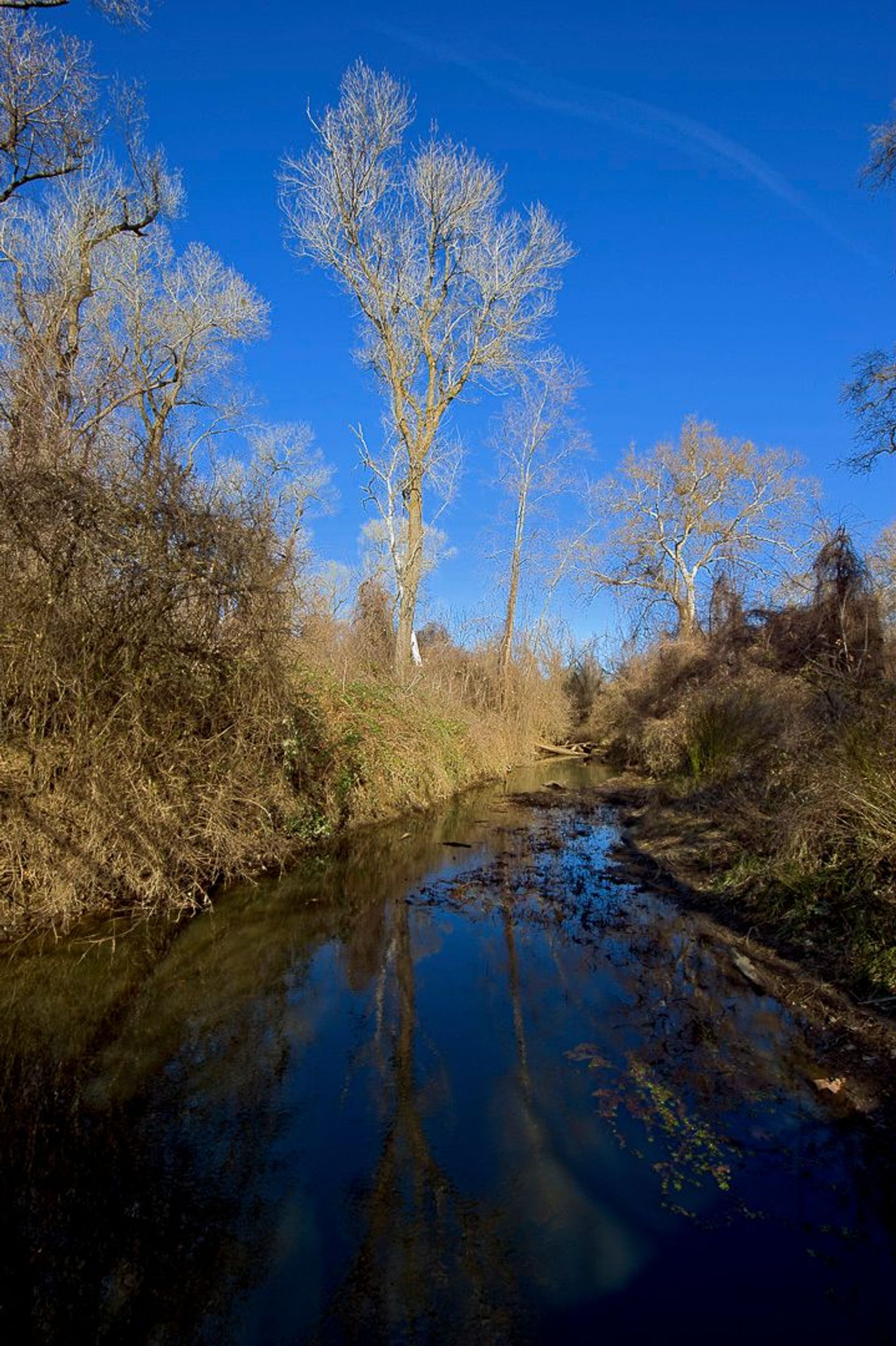 Image of California State Park