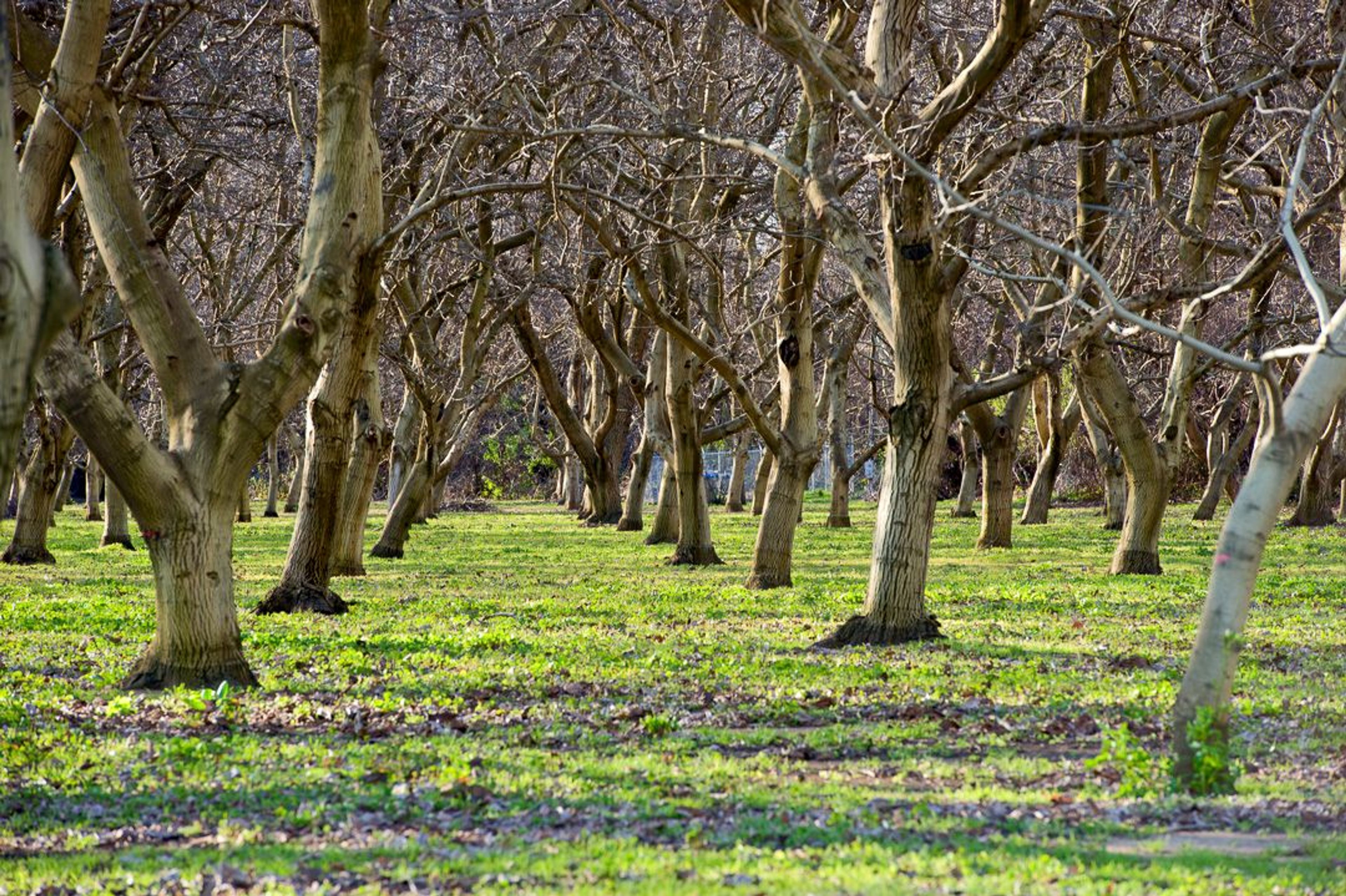 Image of California State Park