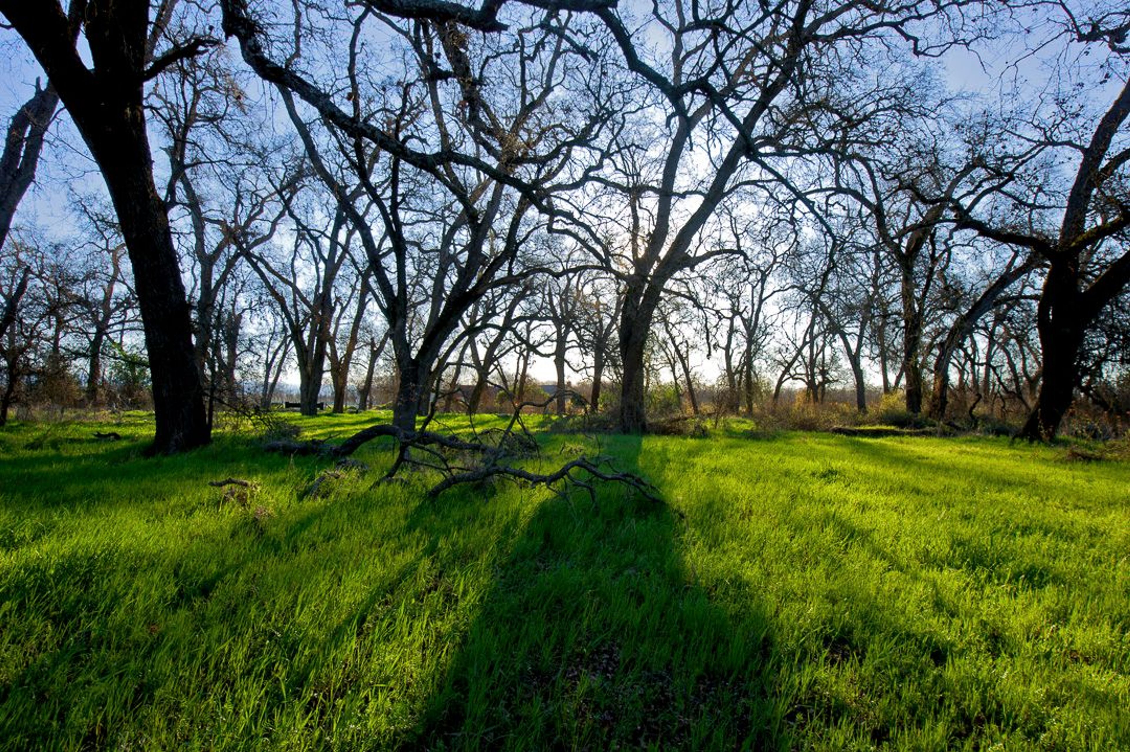 Image of California State Park