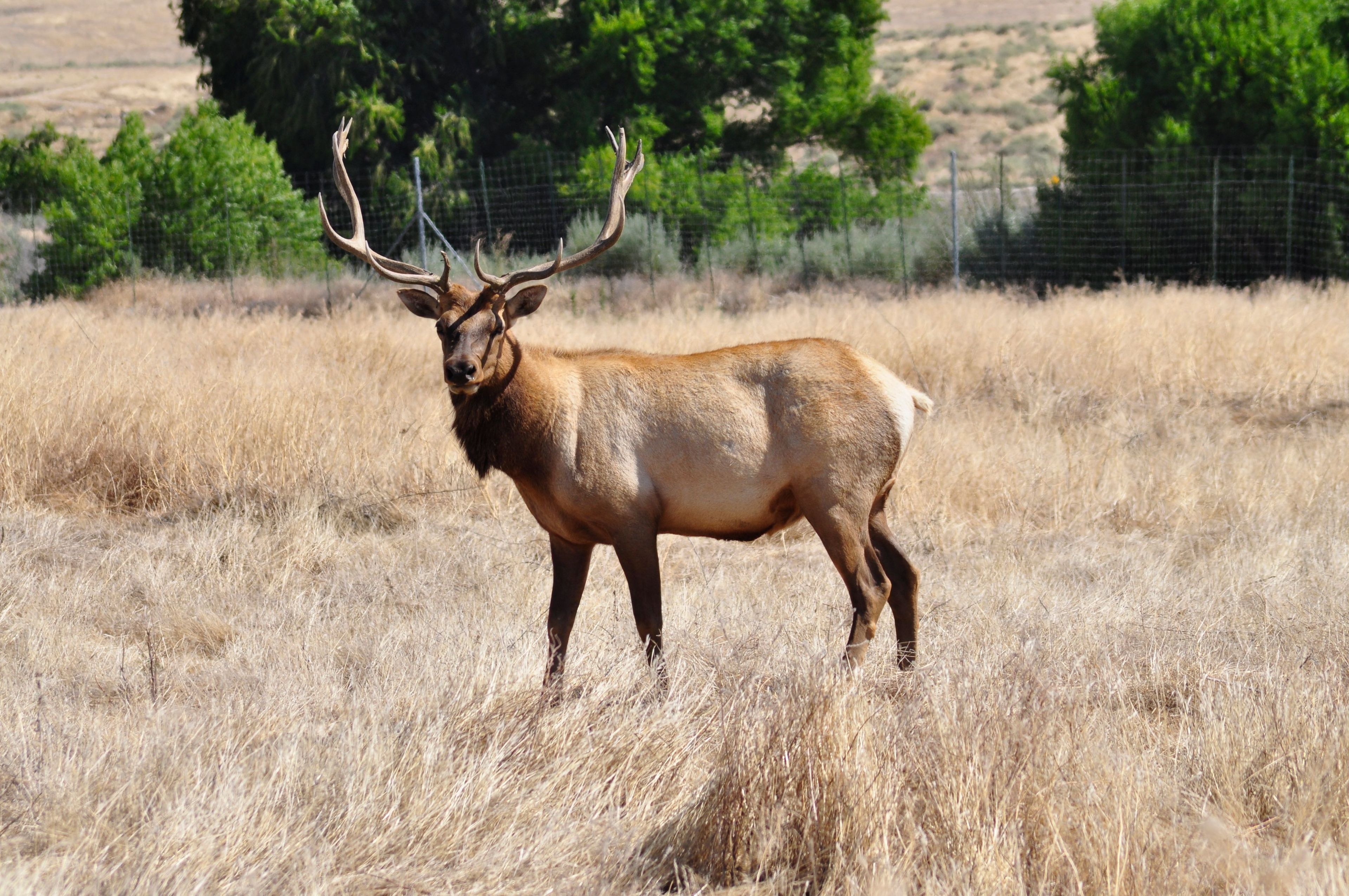 Image of California State Park