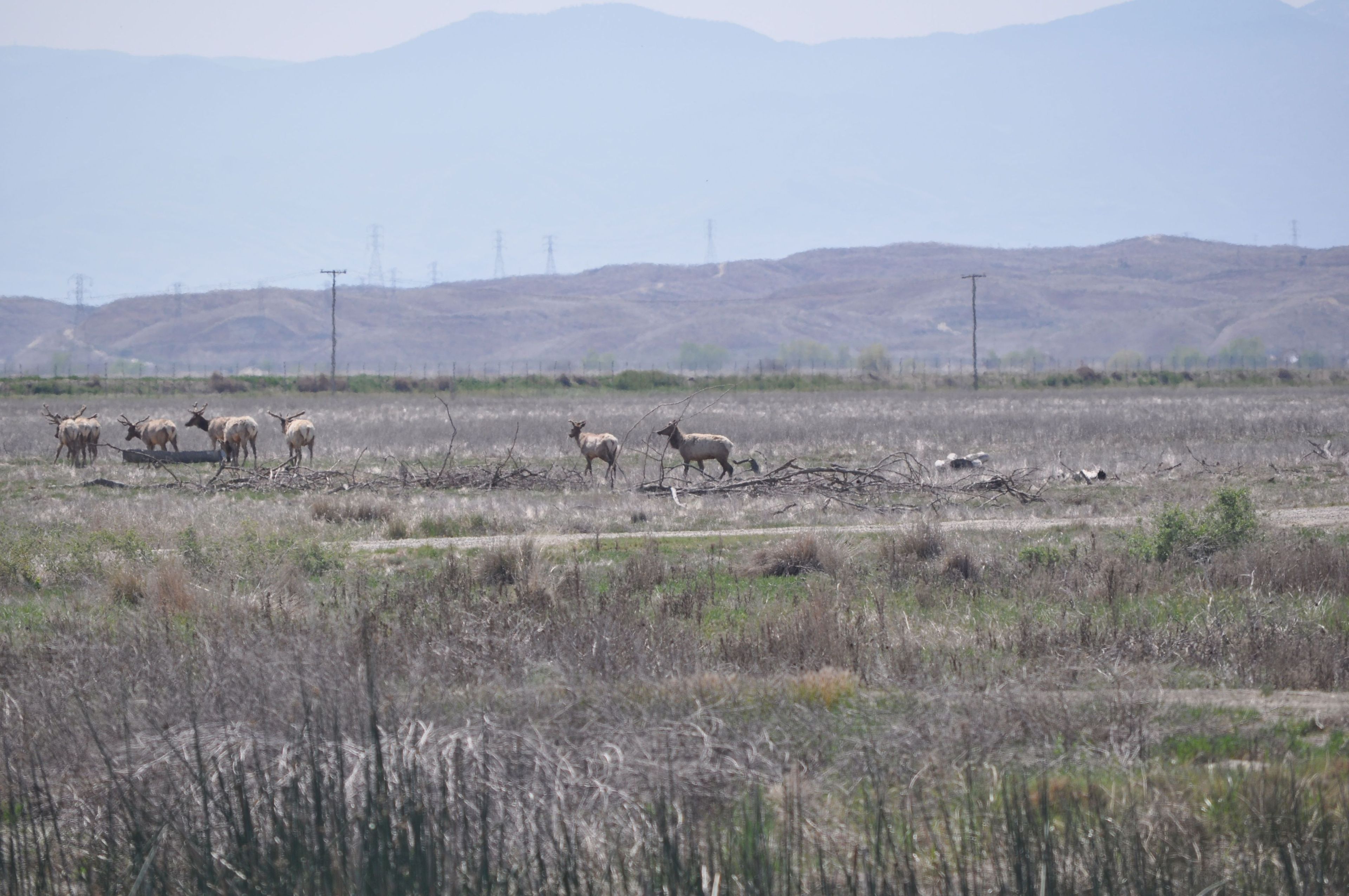 Image of California State Park