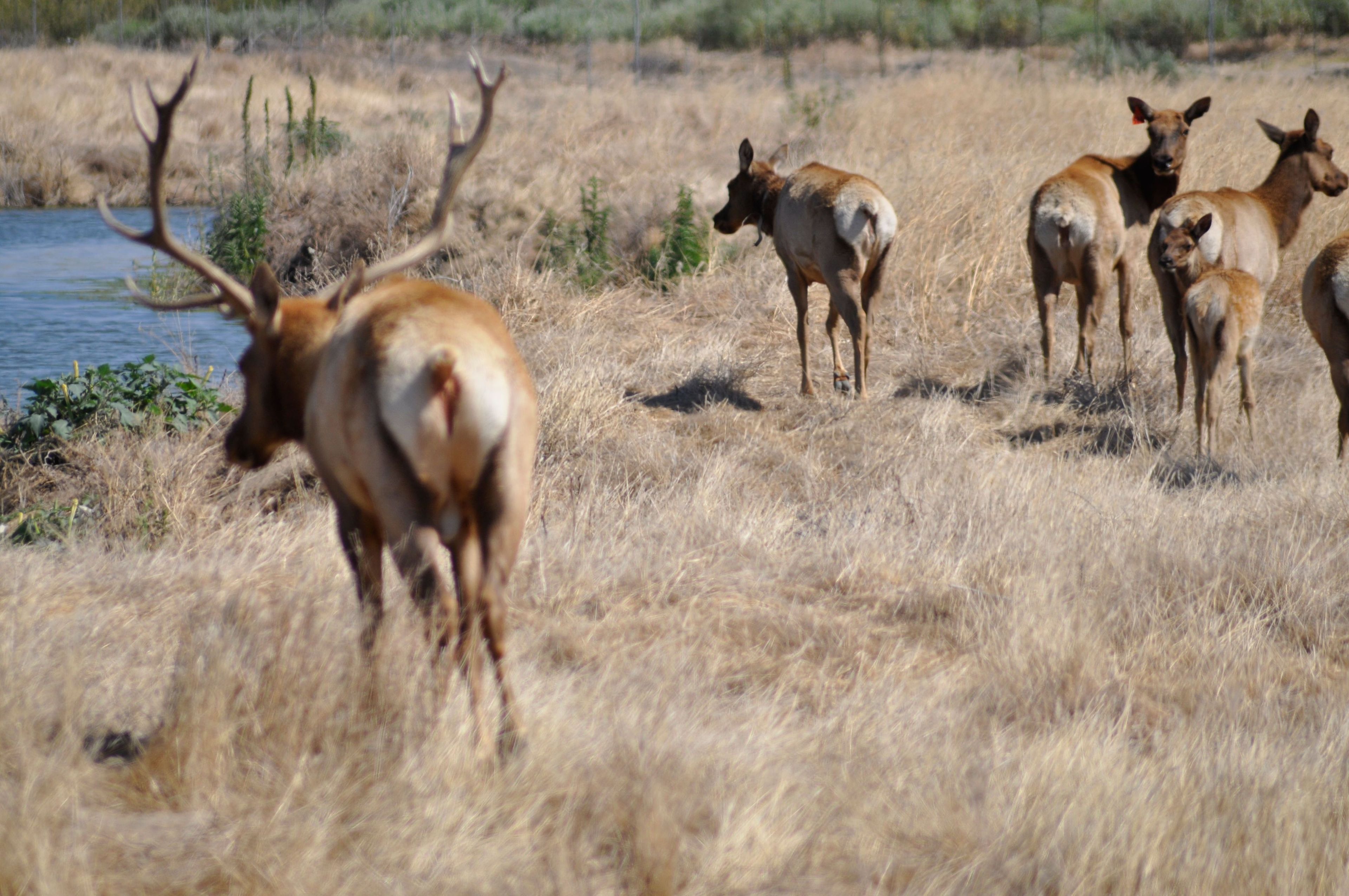 Image of California State Park