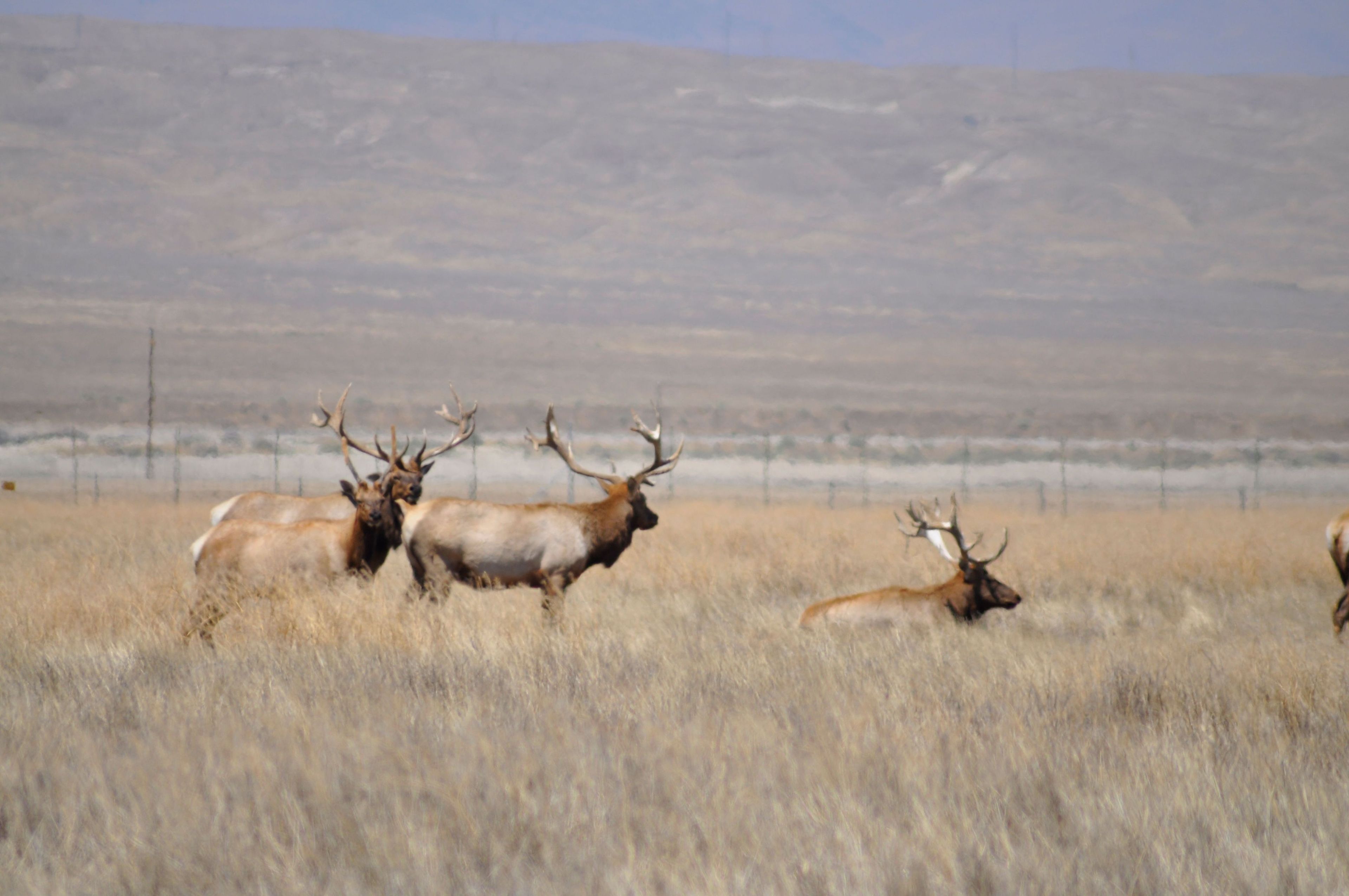 Image of California State Park