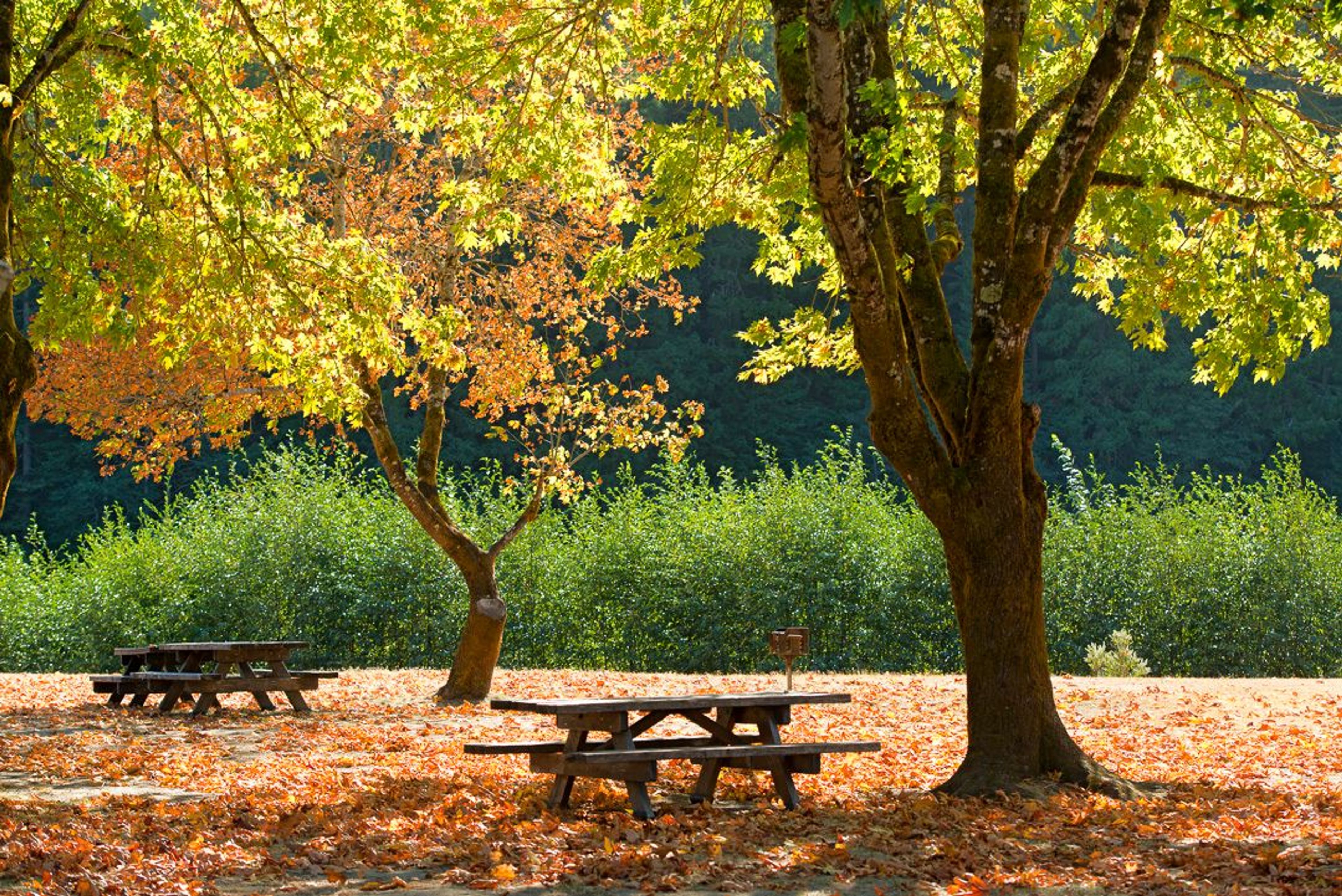 Image of California State Park