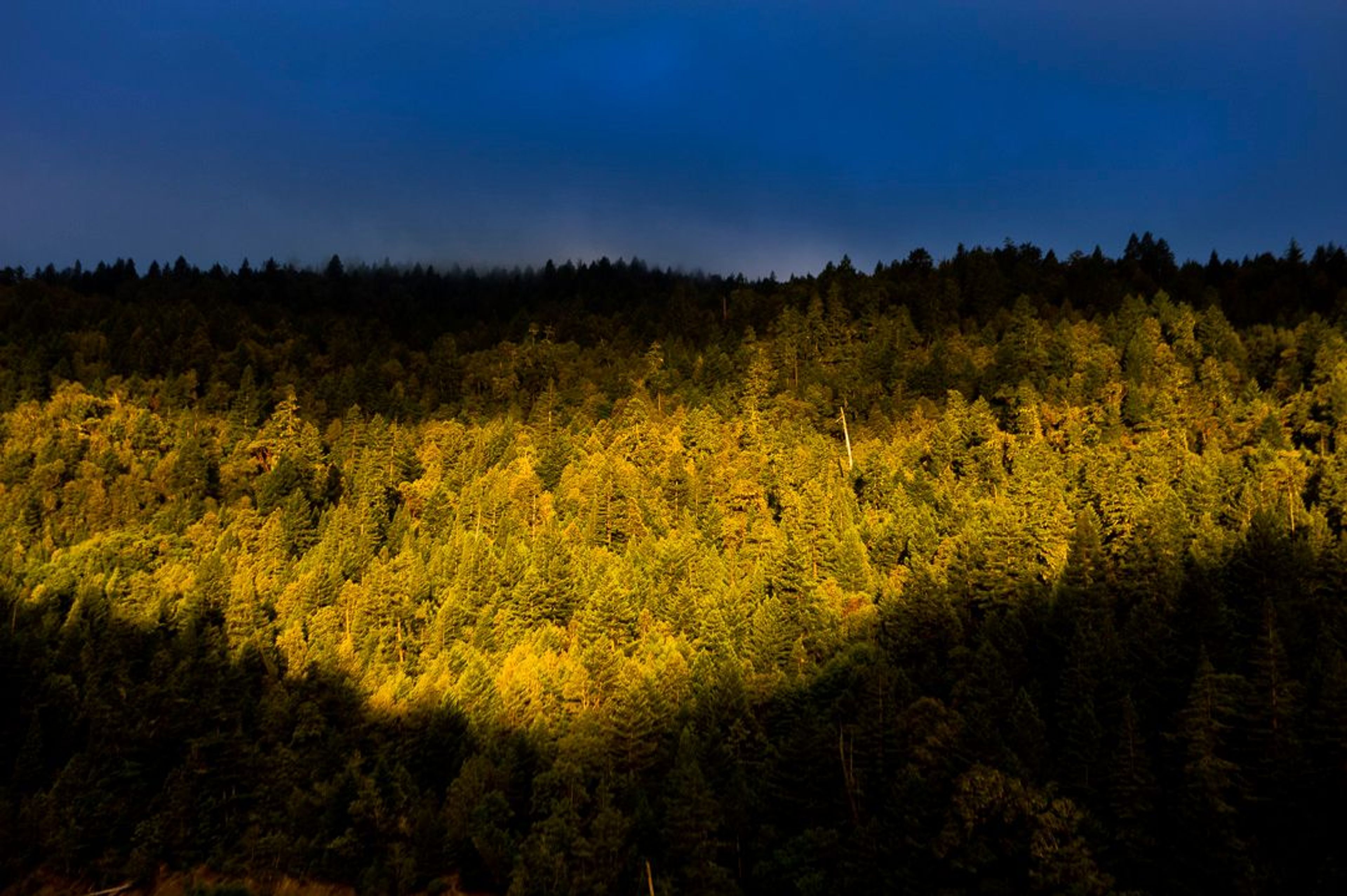 Image of California State Park