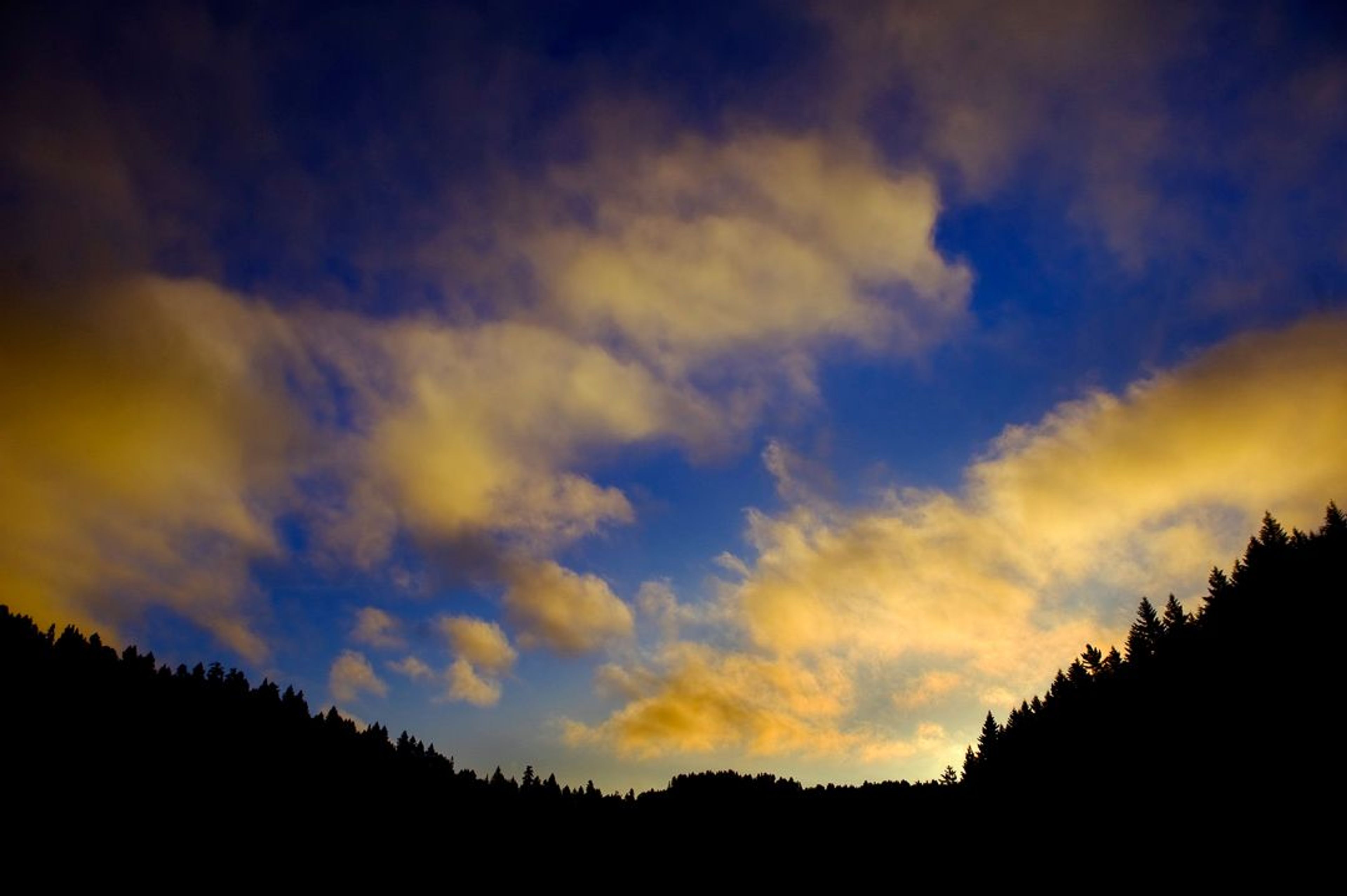 Image of California State Park