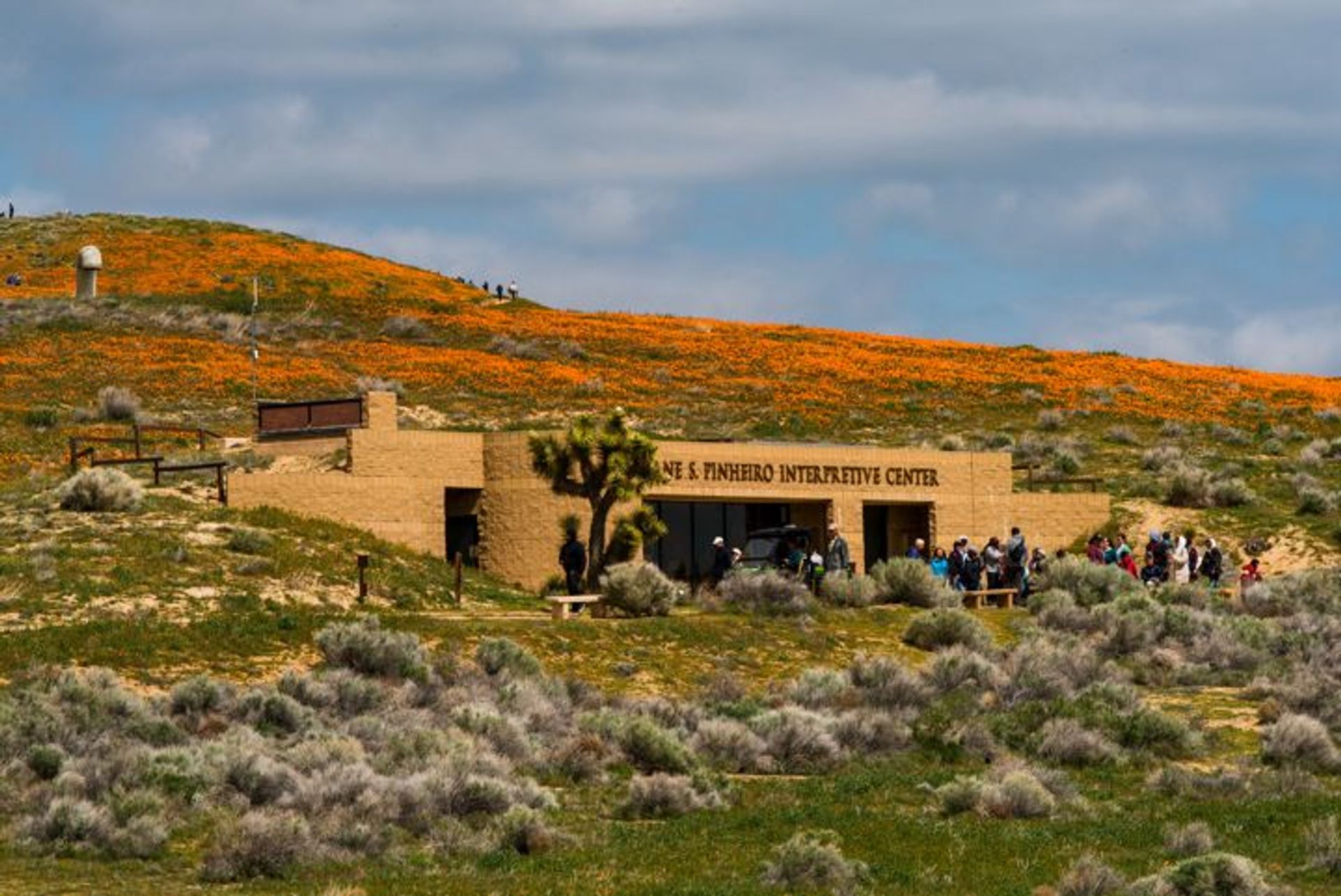 Image of California State Park