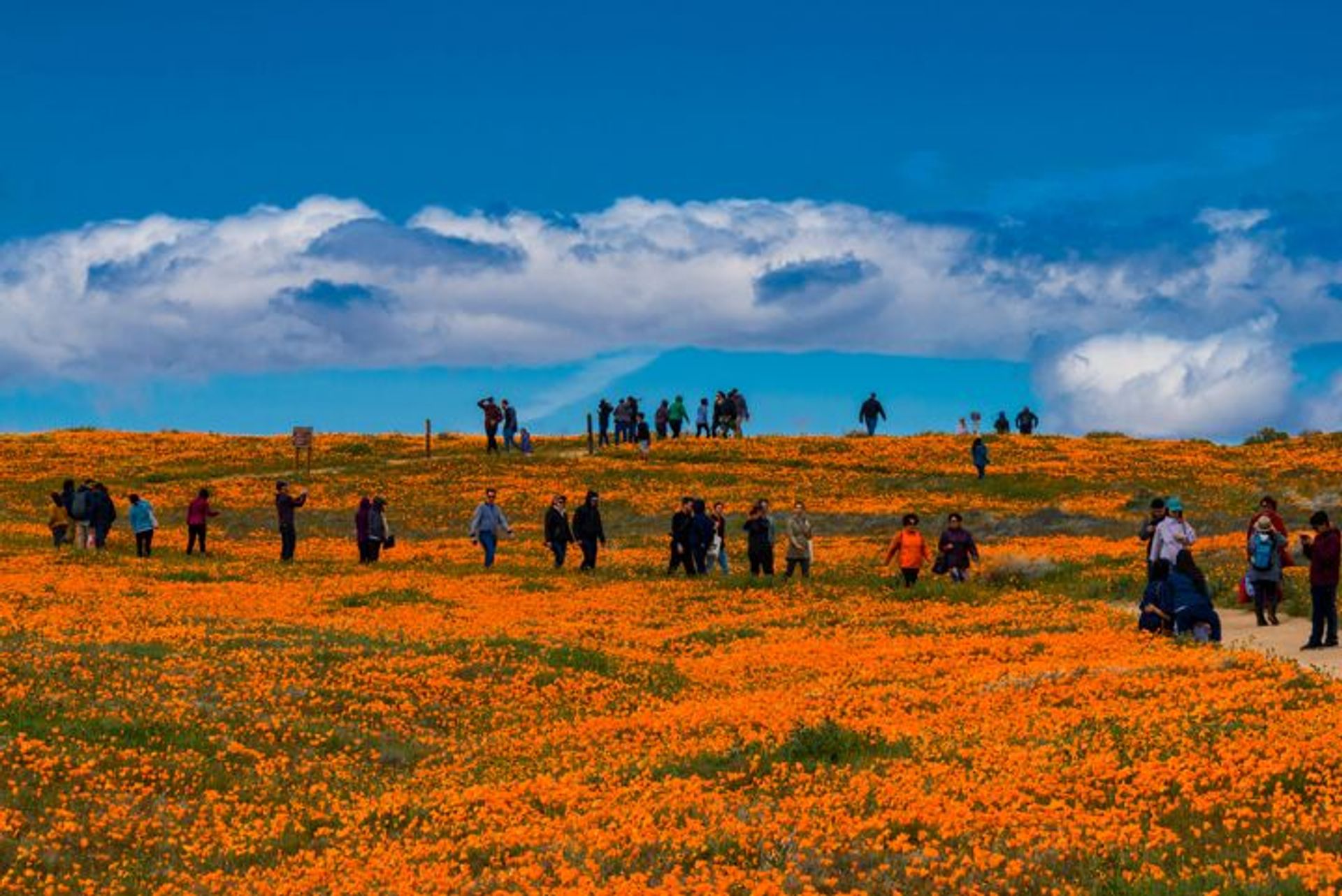 Image of California State Park