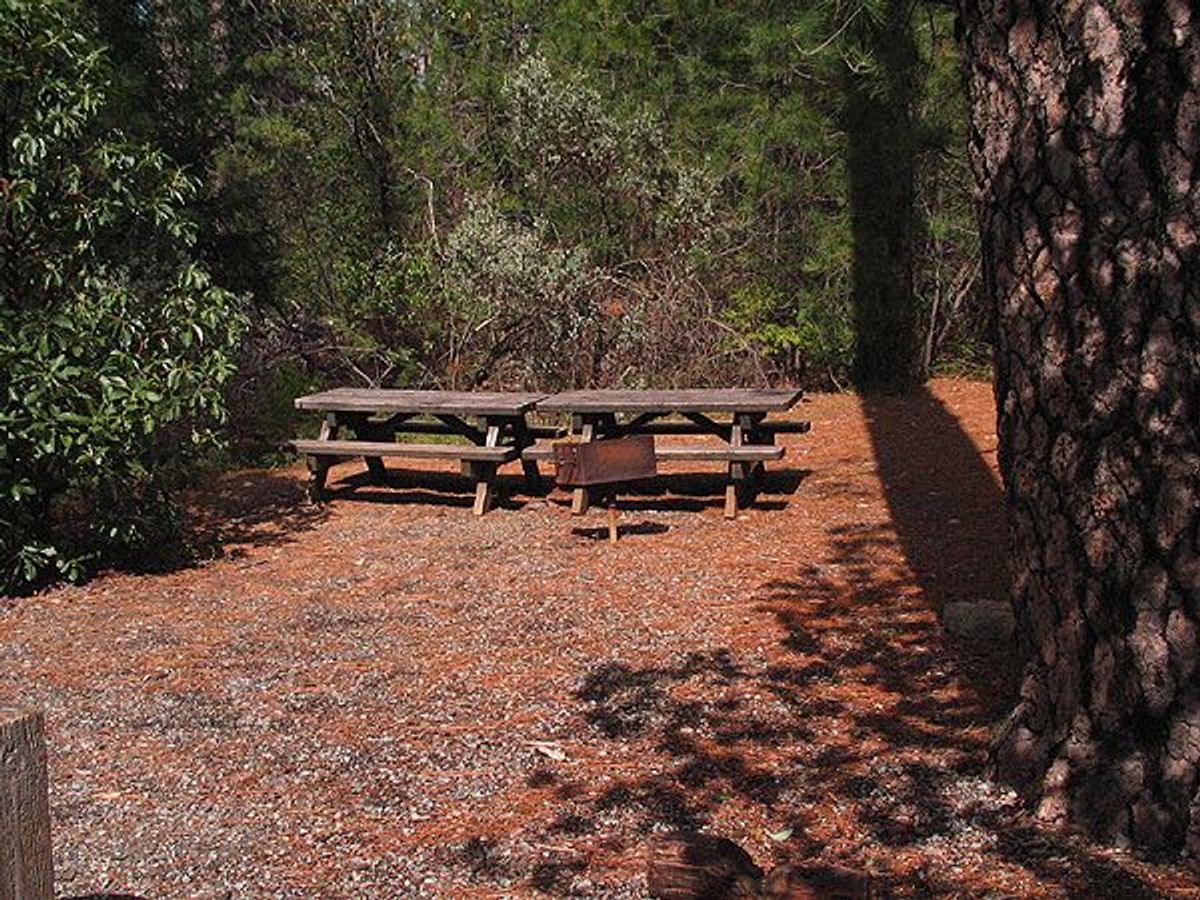 Image of California State Park