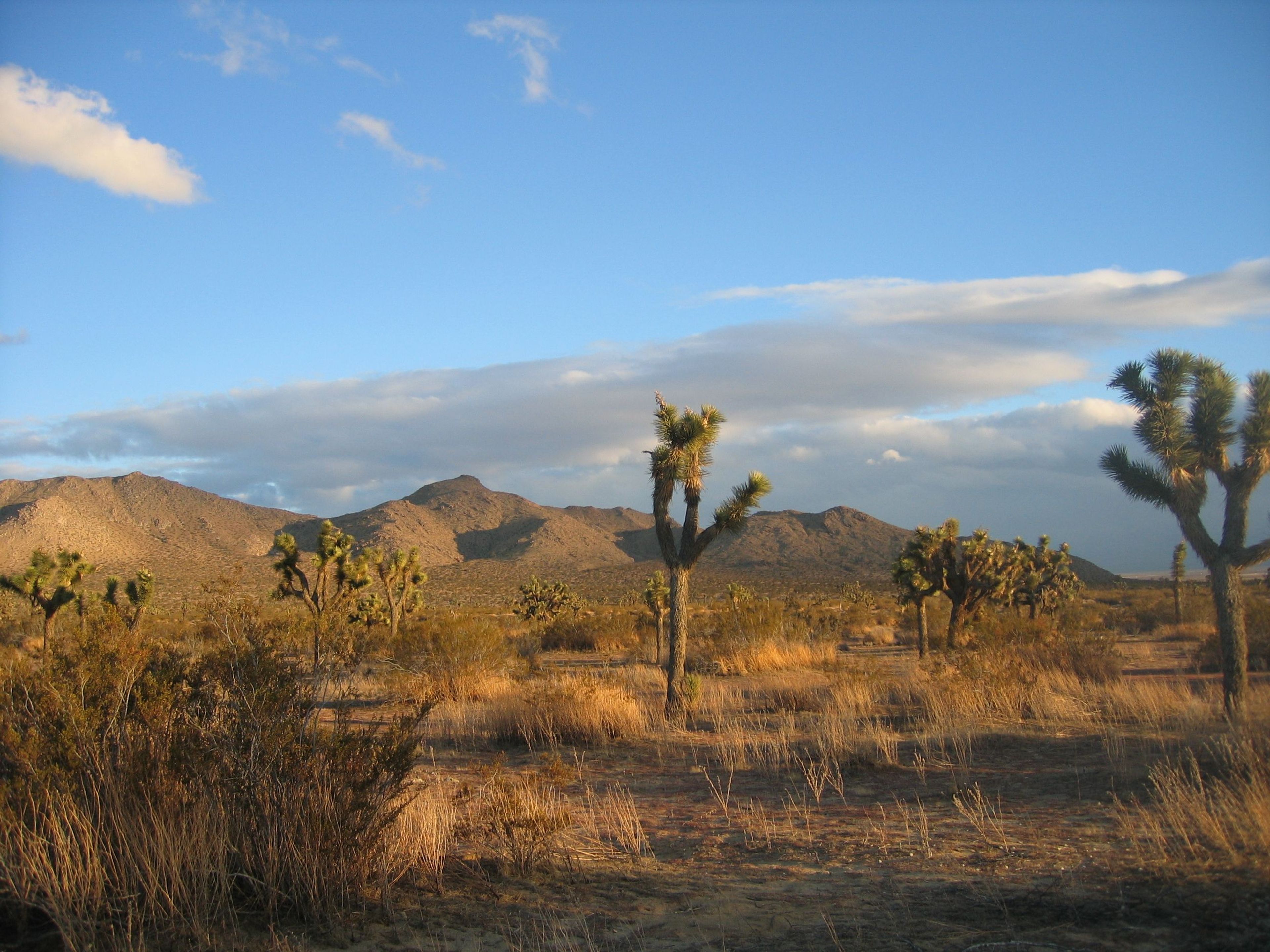 Image of California State Park