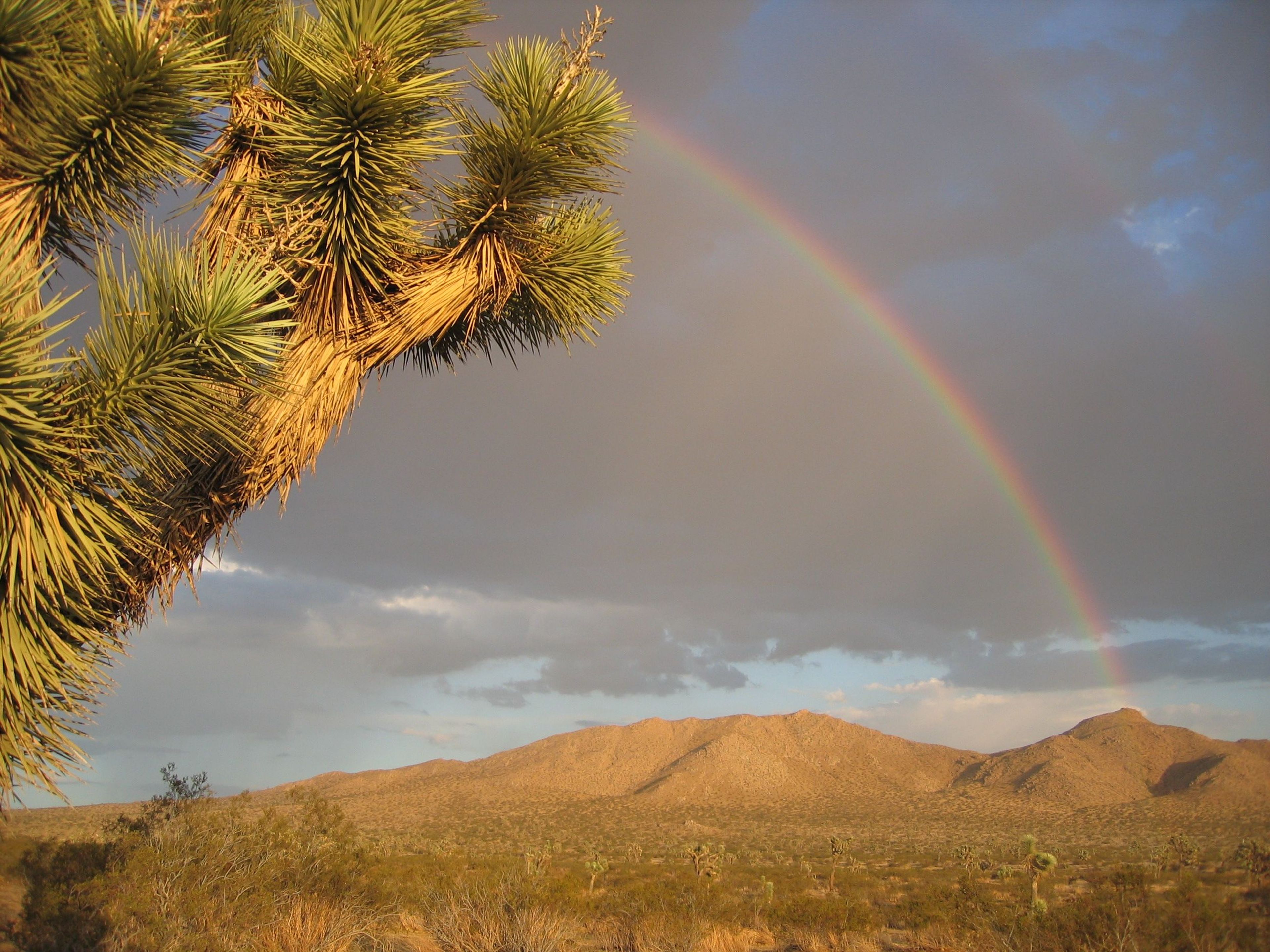 Image of California State Park