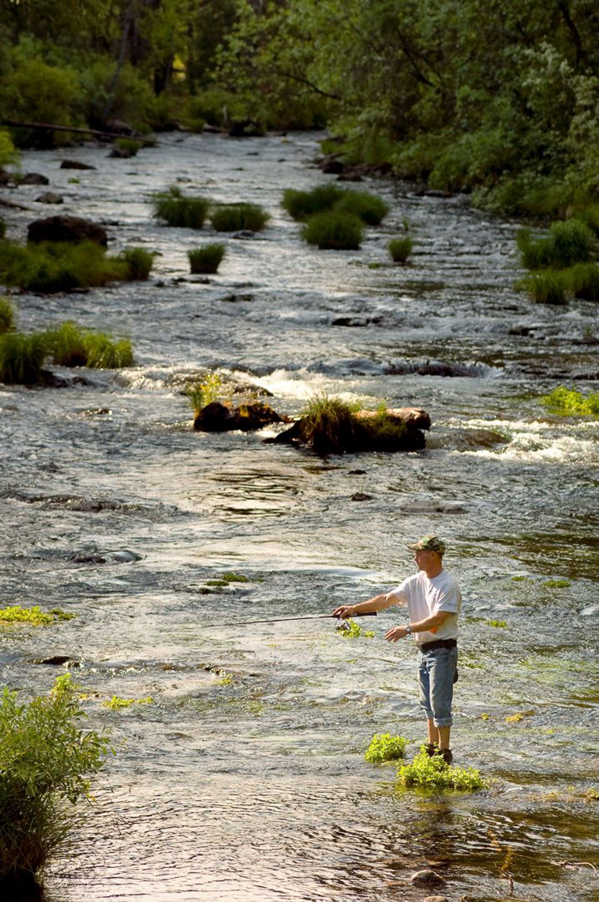 Image of California State Park