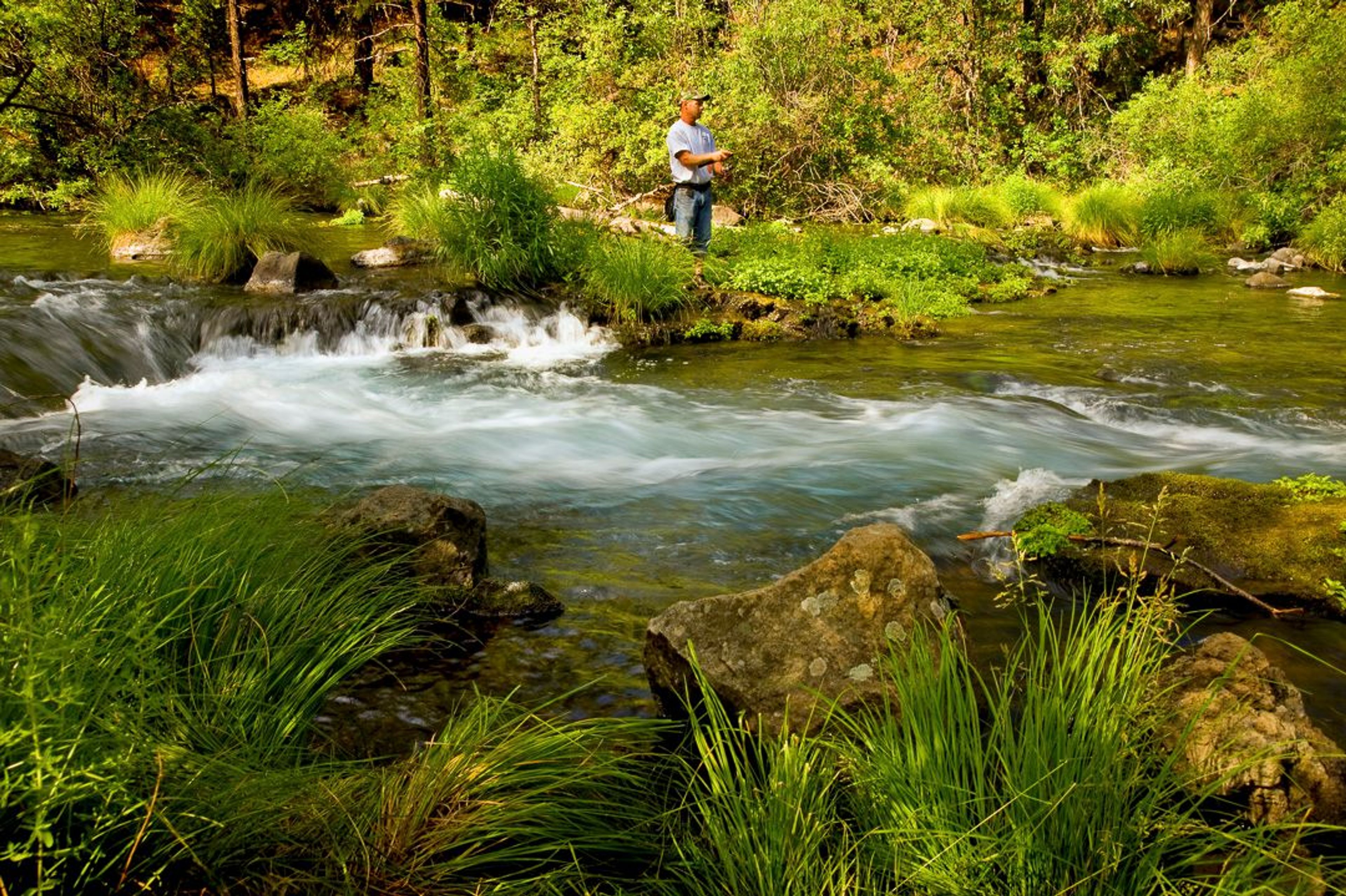 Image of California State Park