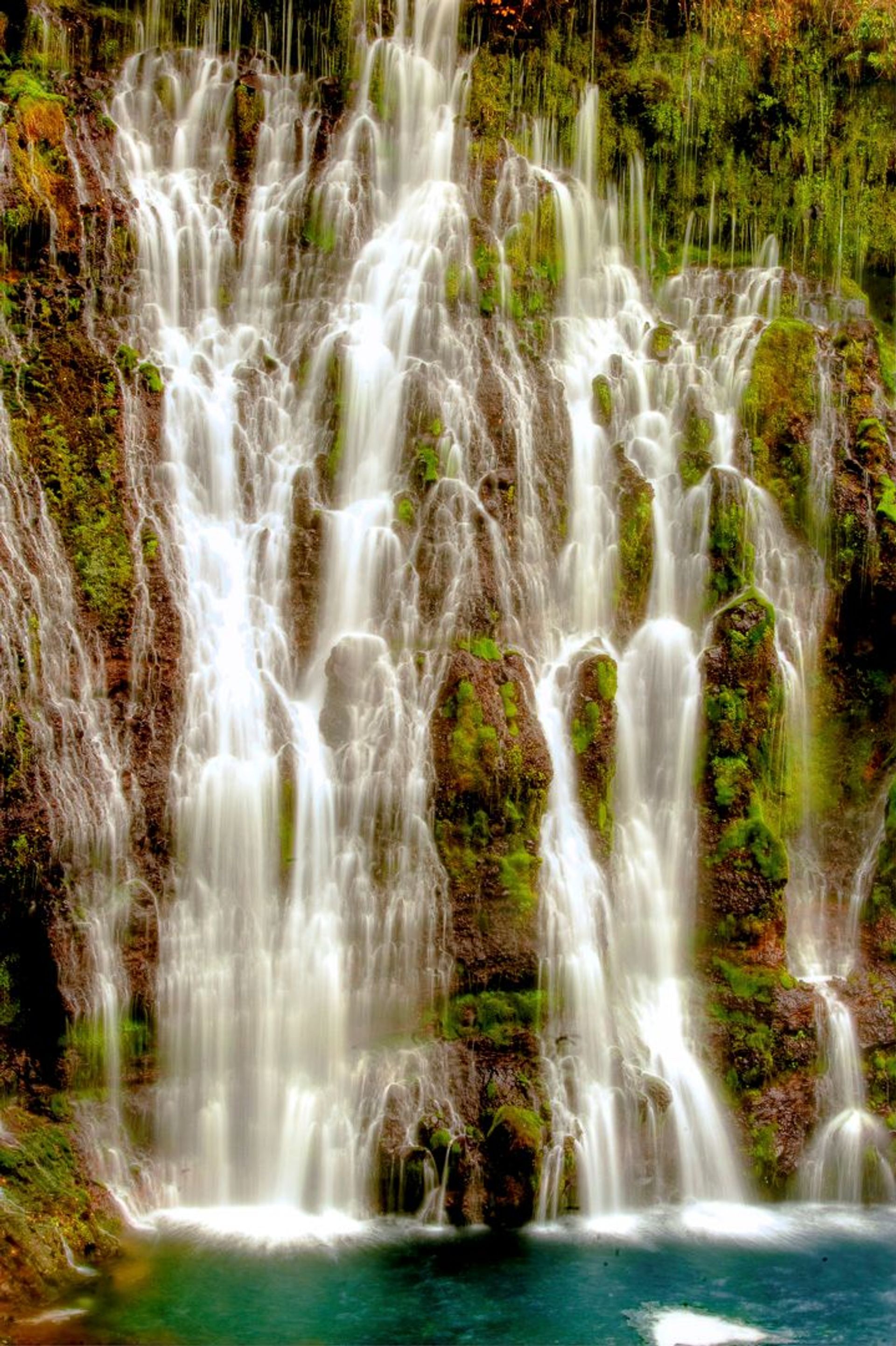 Image of California State Park