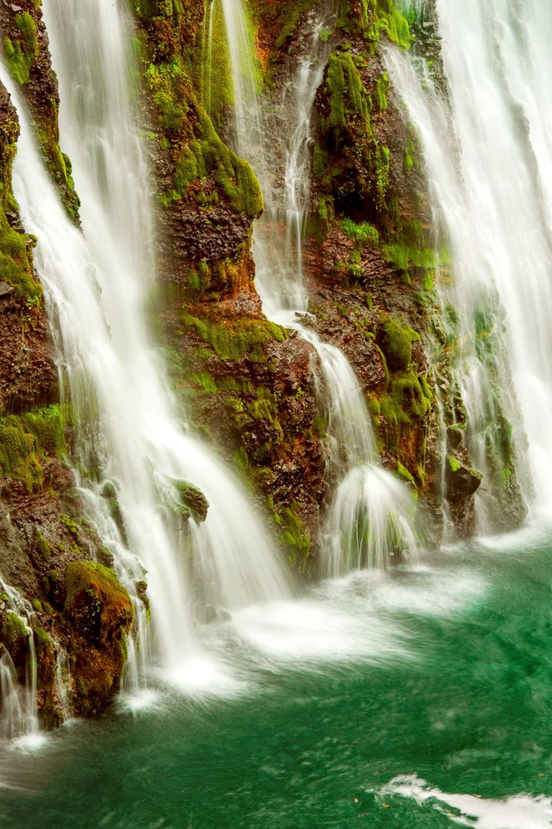 Image of California State Park