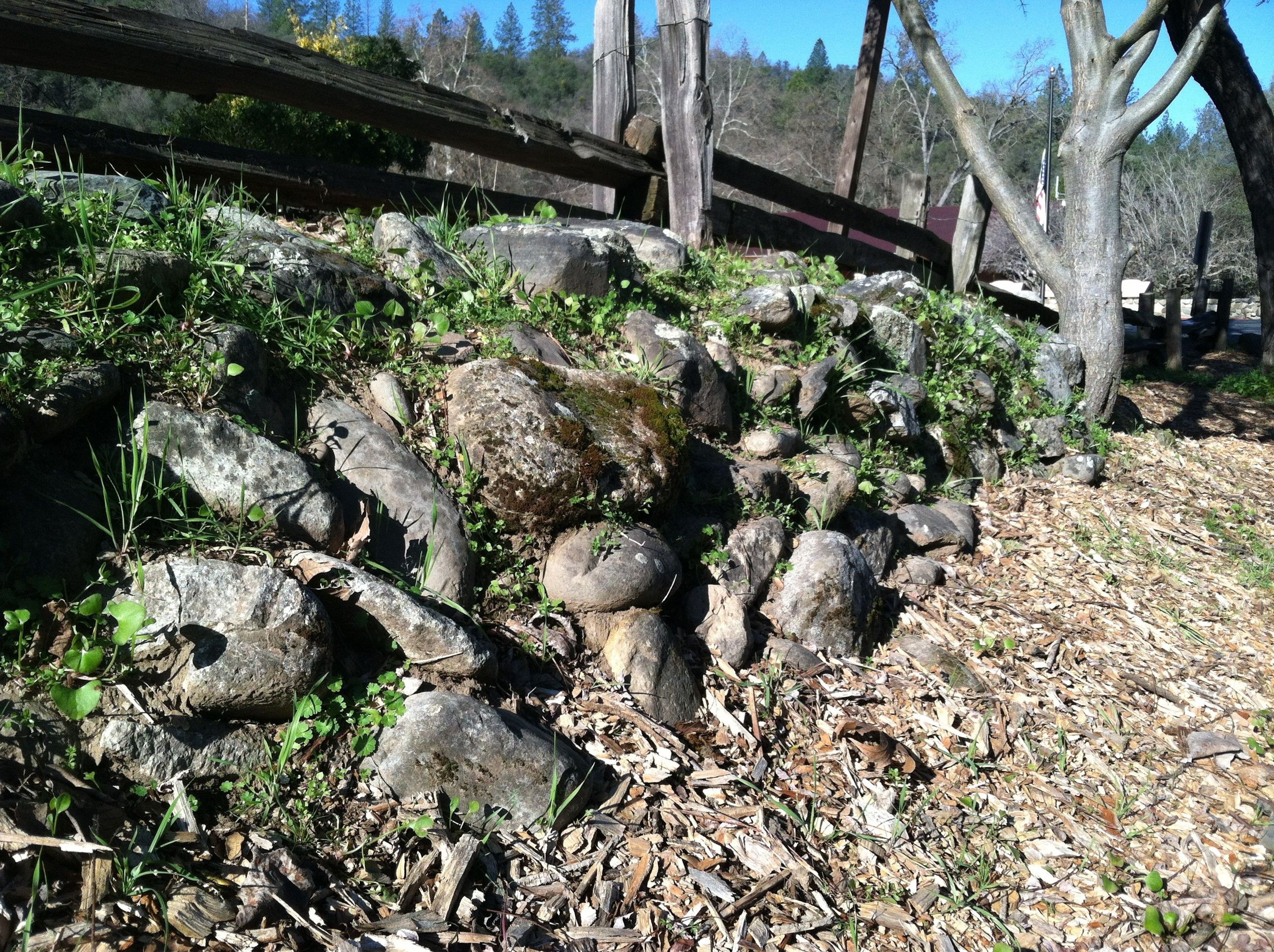 Image of California State Park