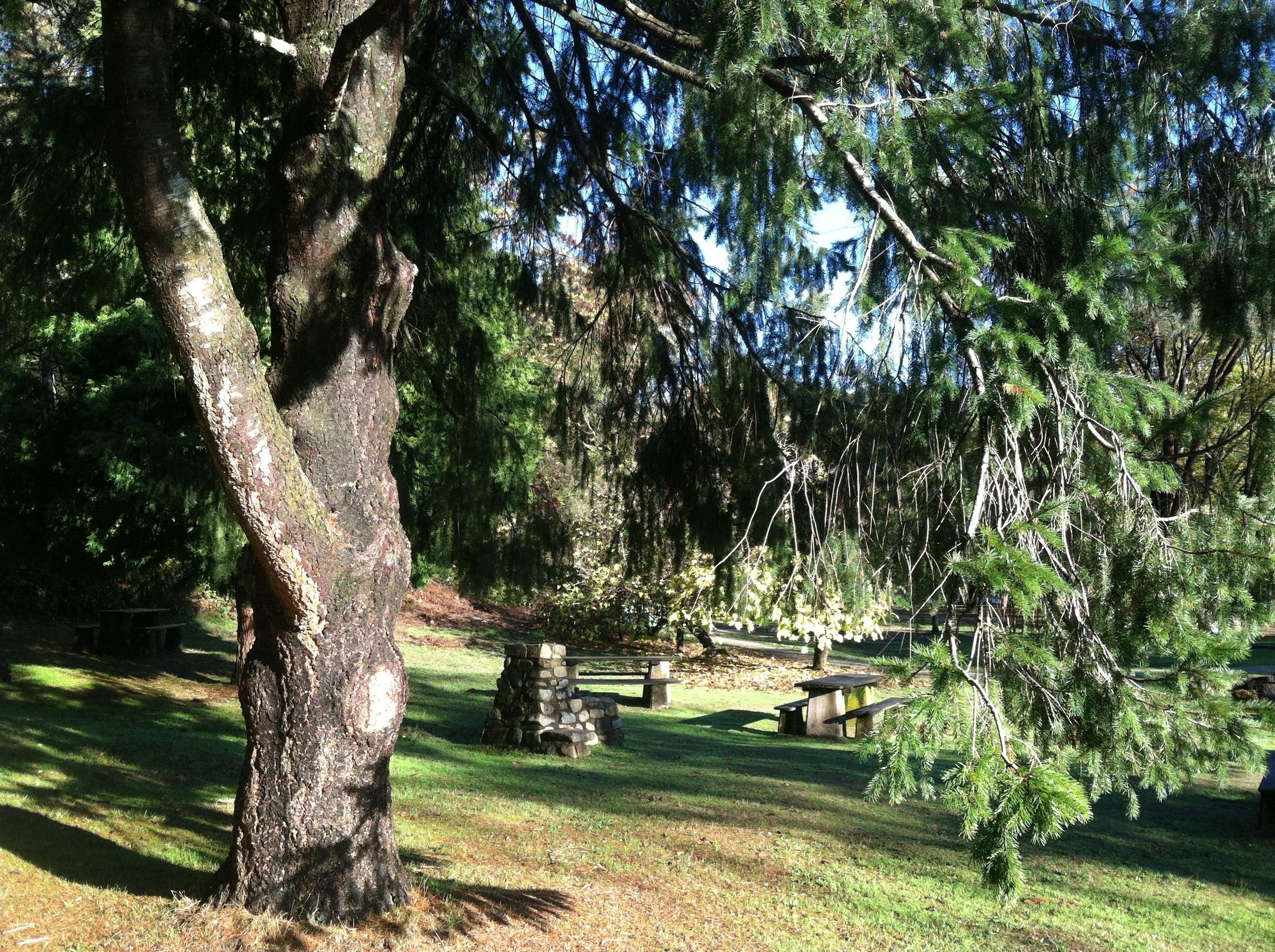 Image of California State Park