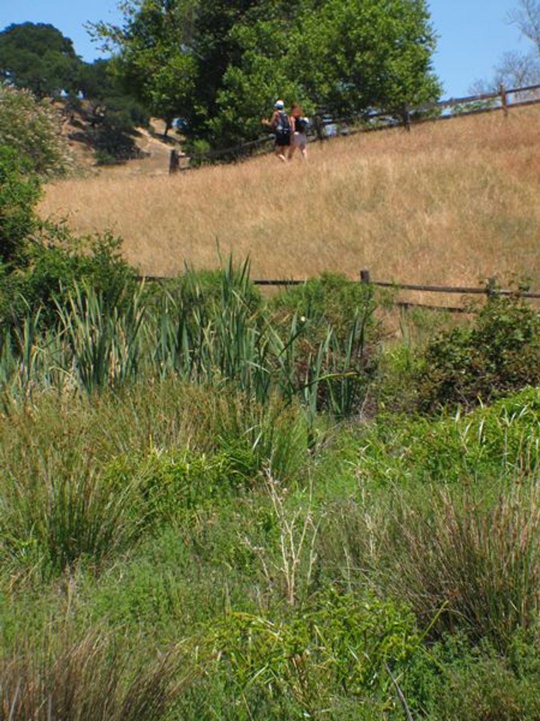 Image of California State Park