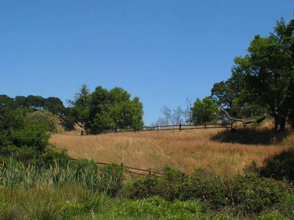 Image of California State Park